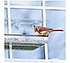 Backyard Expressions Acrylic Clear Window Bird Feeder, 4 of 4