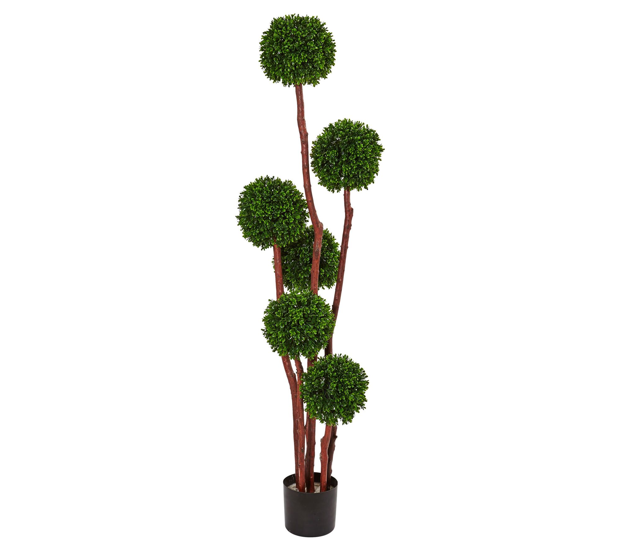 New Boxwood Tree by Nearly Natural - QVC.com