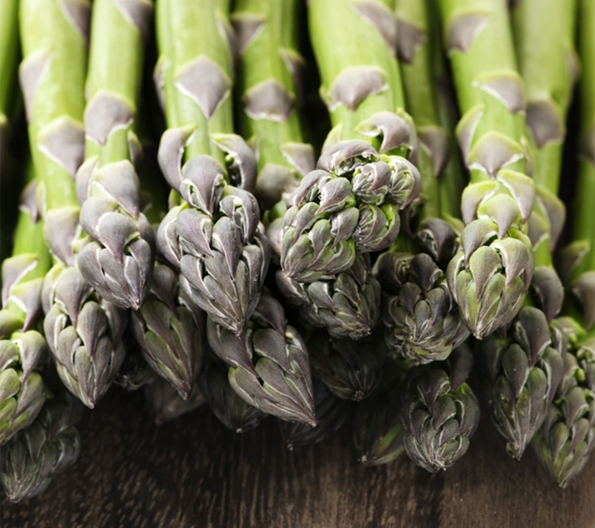 Van Zyverden GMO Free Asparagus Mary Washington12 Roots