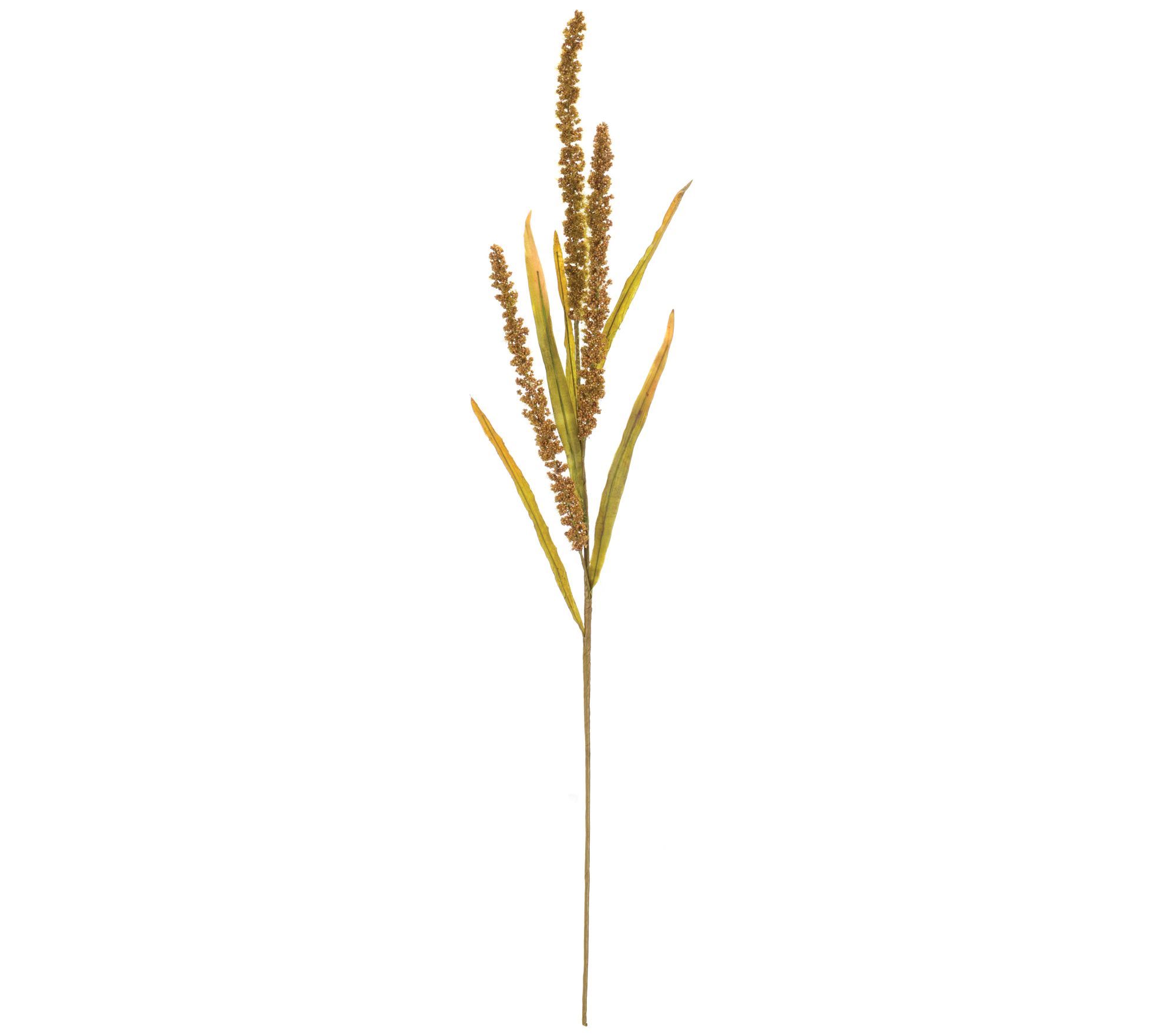 Melrose Seeded Harvest Spray (Set of 12) - QVC.com