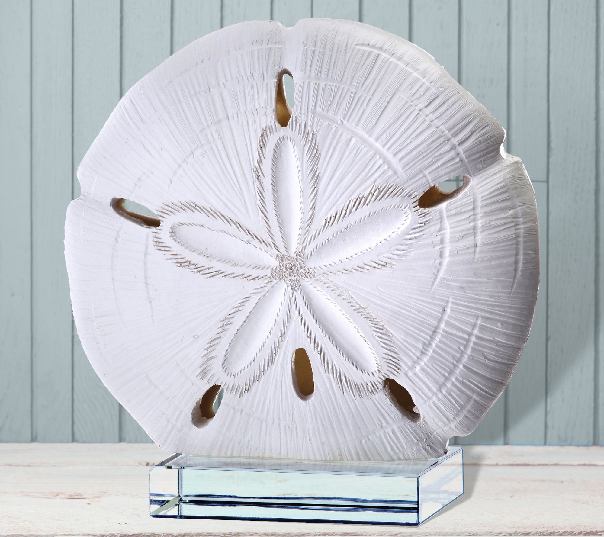 7" Sand Dollar On Glass by Valerie