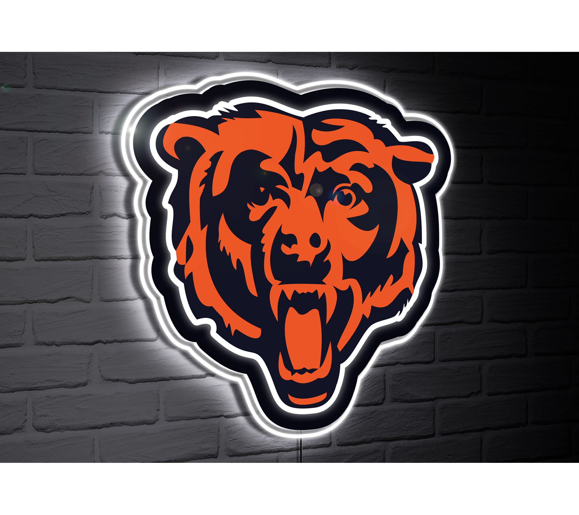 Bears