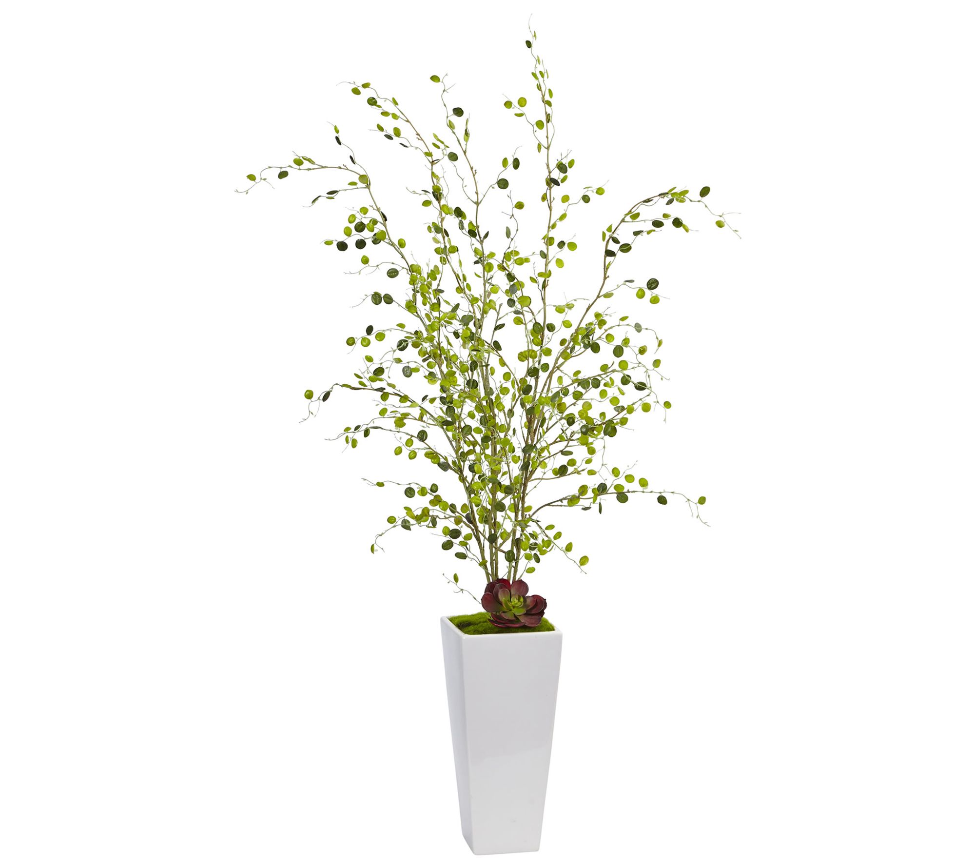 Night Willow in White Planter by Nearly Natural - QVC.com