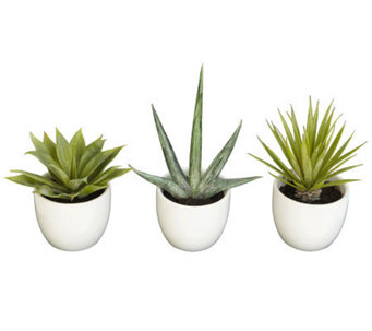 Set of 3 Southwest Collection Agave Plants by Nearly Natural