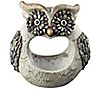 RCS Gifts Curious Owl Planter