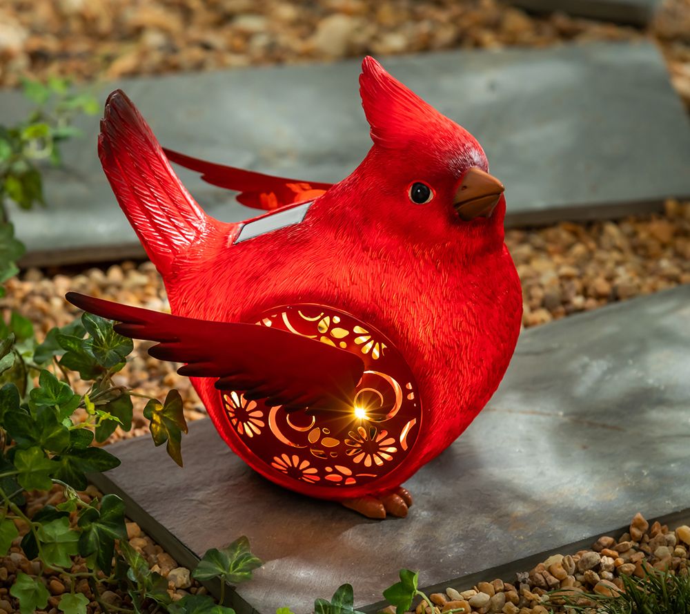 Evergreen Solar Engraved Cardinal