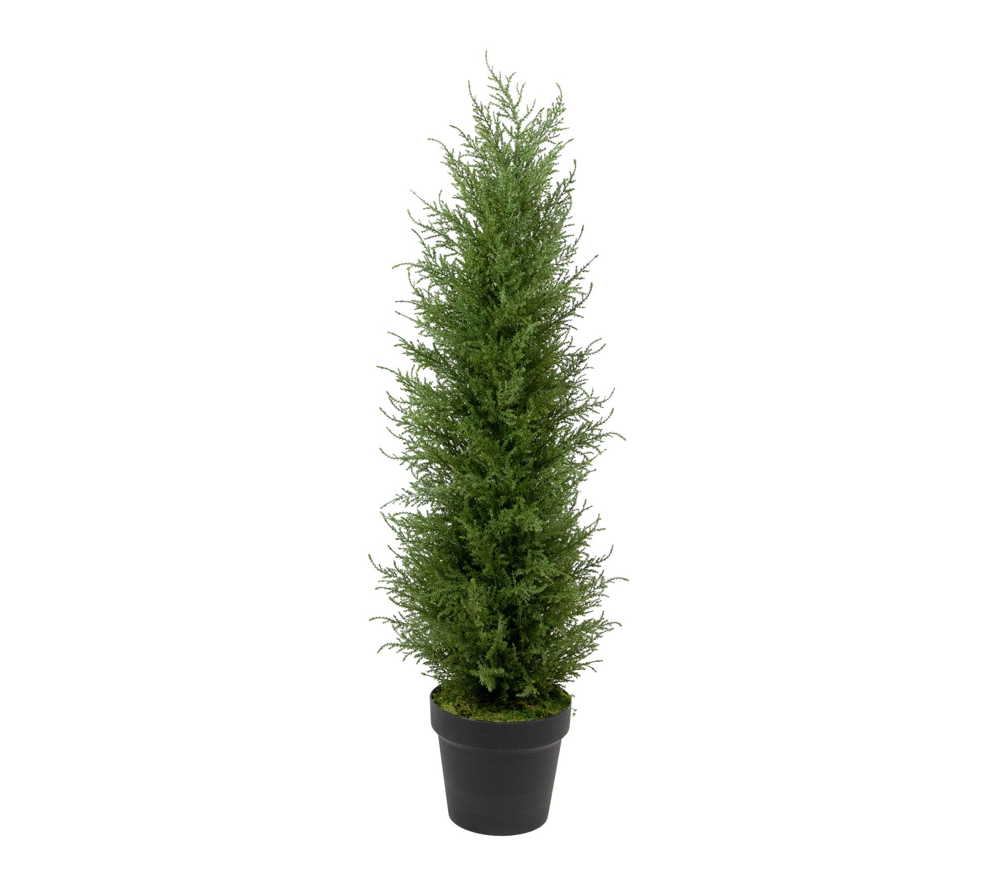 Northlight 3' Artificial Pine Arborvitae Tree in Pot Unlit