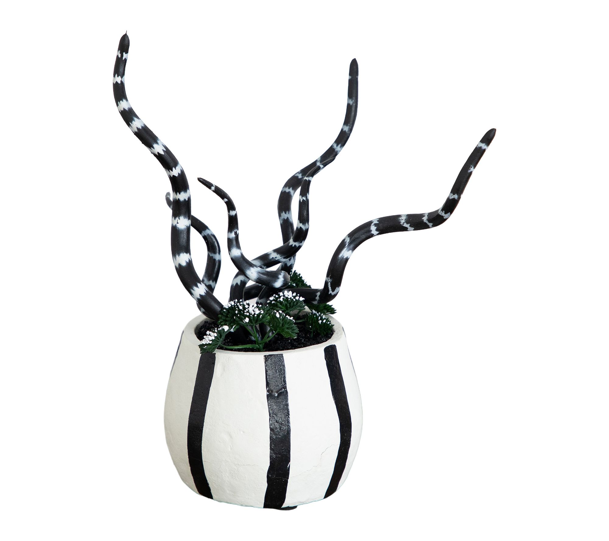10-in Midnight Stripe Snake Plant in Planter by Nearly Natural
