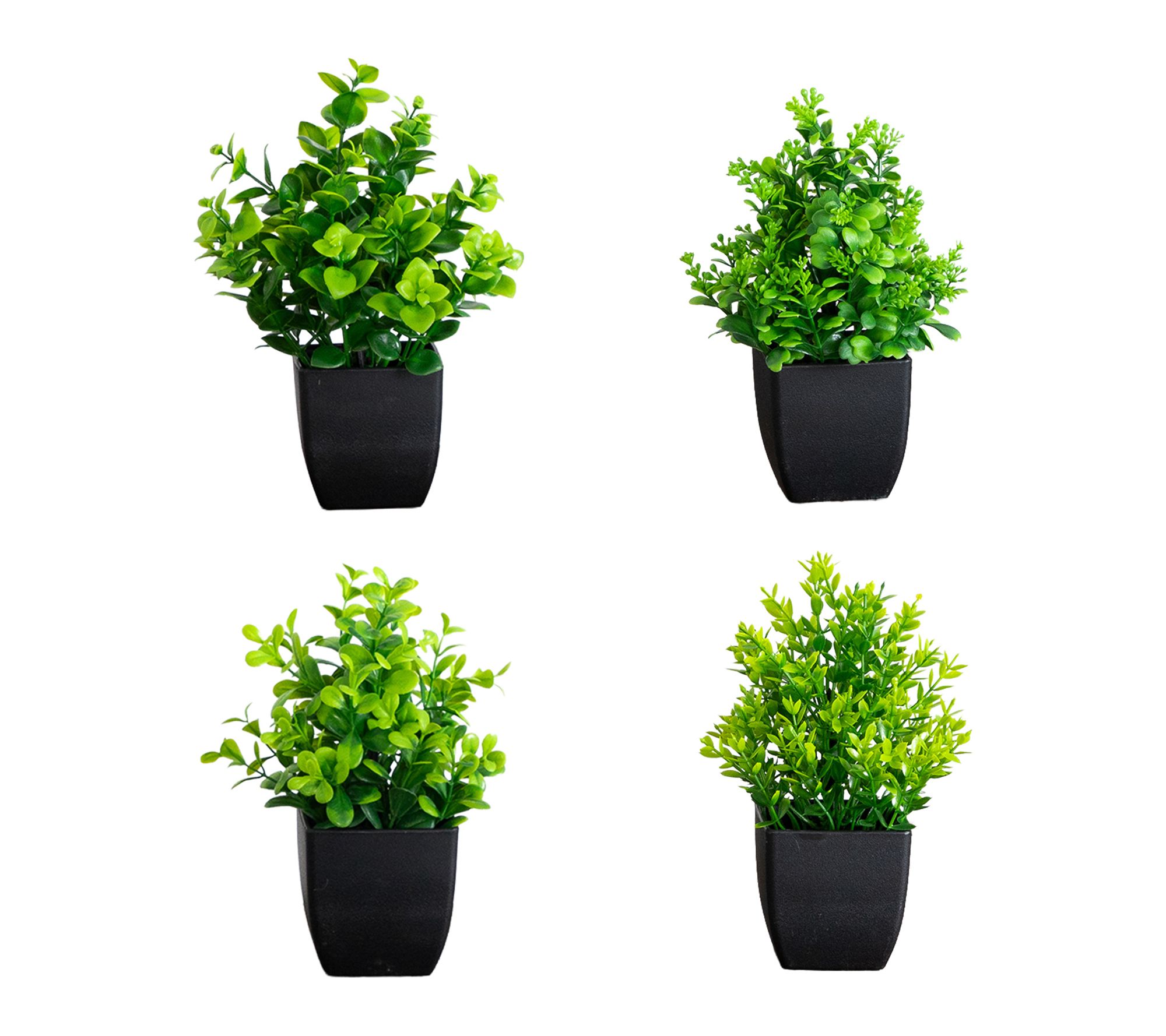 7-in Mixed Green Plant in Pot - Set of 4 by Nearly Natural