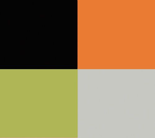 Pumpkin Orange