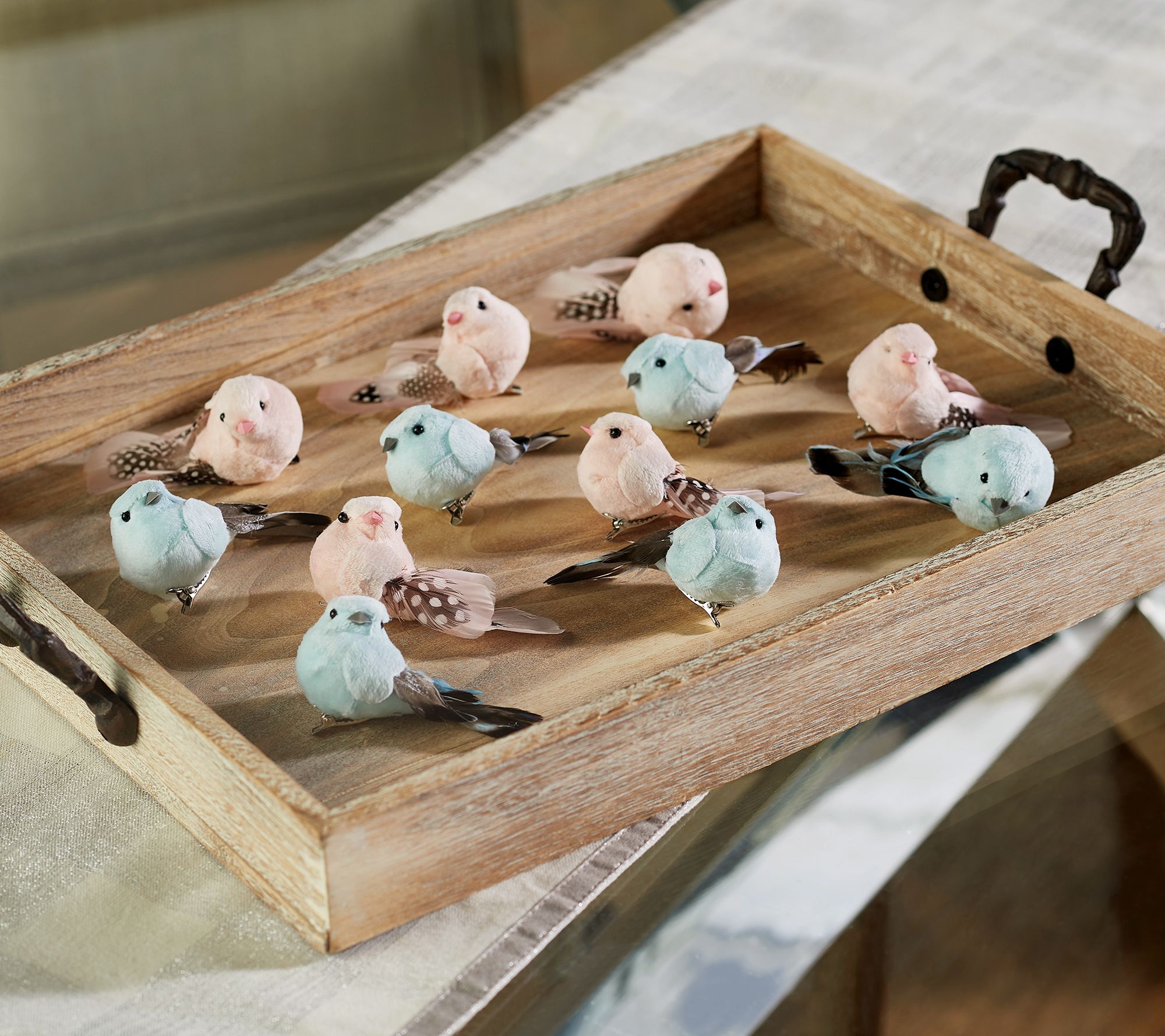 "As Is" Set of 12 Decorative Feather Tail Bird Clips by Valerie