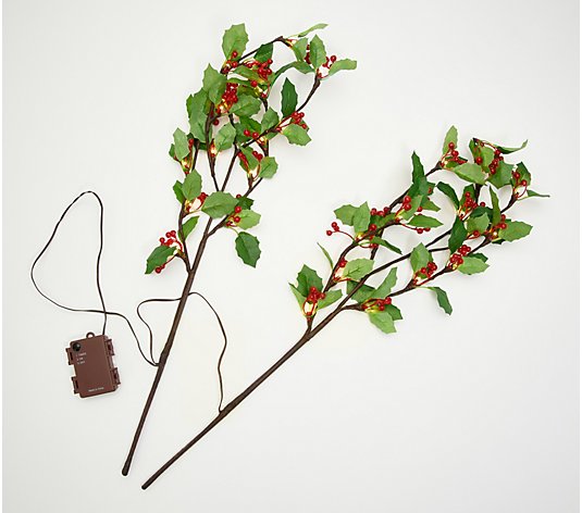 Plow & Hearth Holiday Metal Illuminated Set of 2 Branches