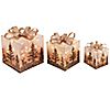 S/3 Lighted Holiday Jewel Gift Box Decor by Gerson Co.