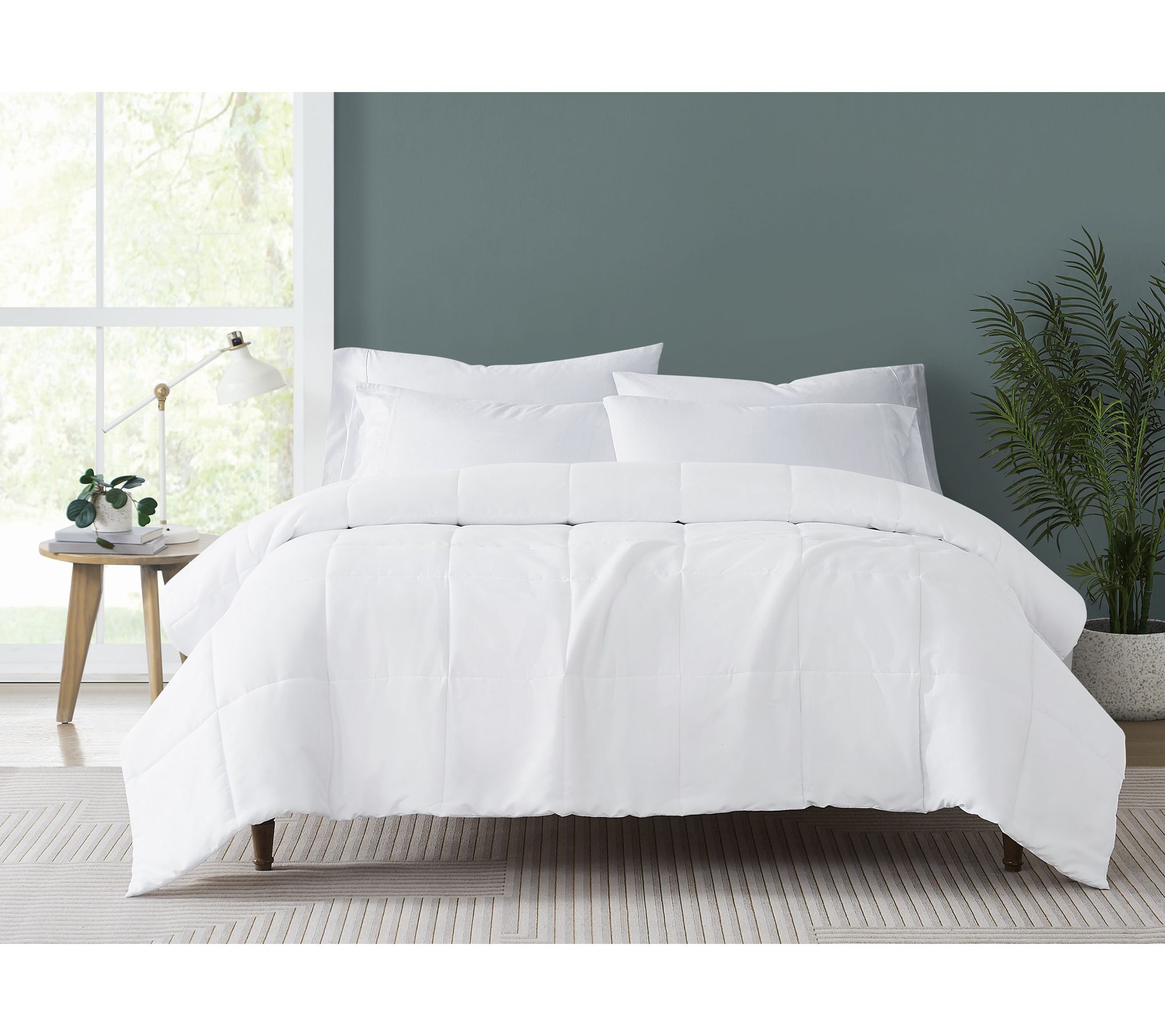 Truly Soft Everyday Solid Twin/TXL Down Alternative Blanket