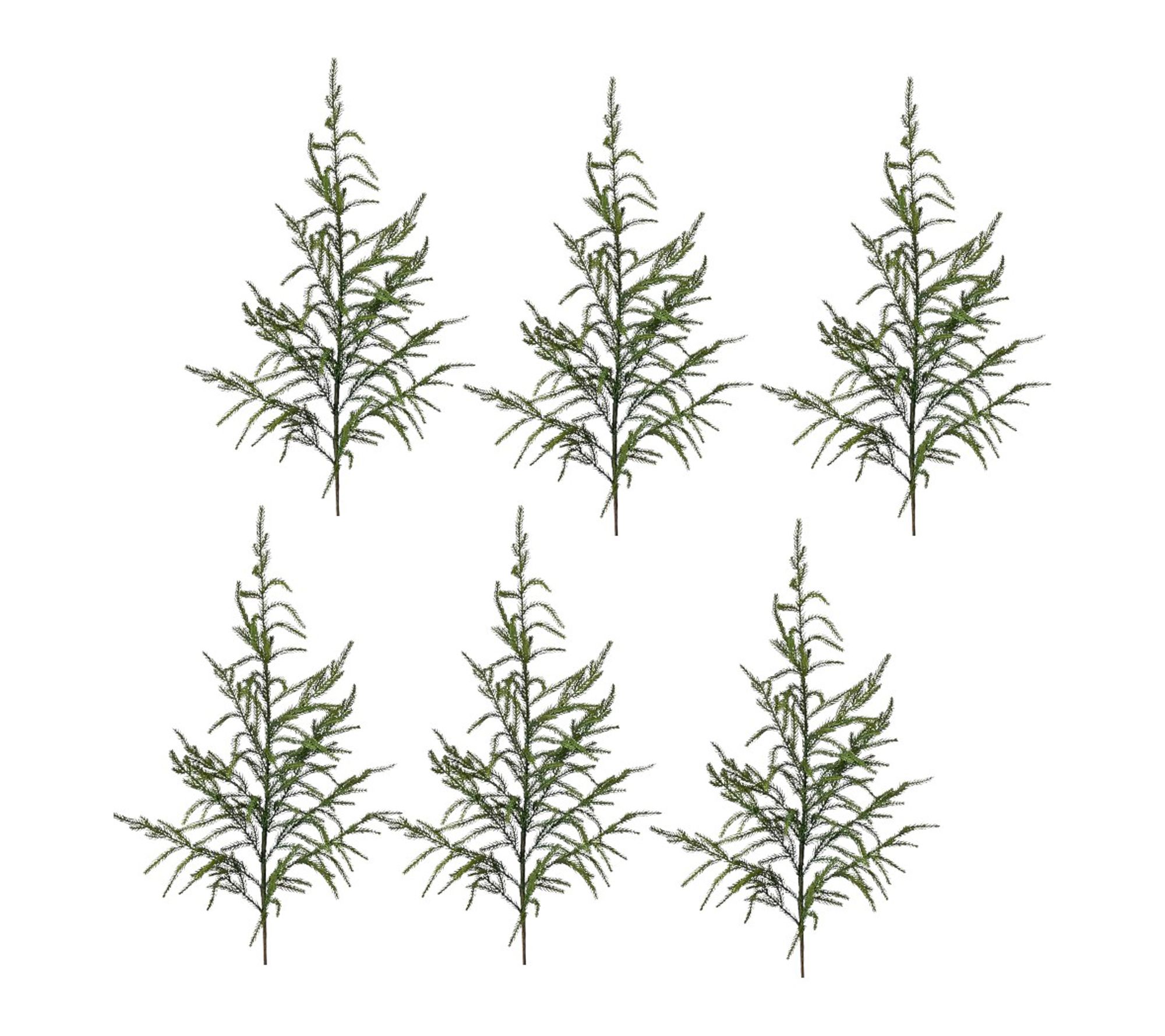 RC Home Decor Natural Touch Norfolk Pine Sprays6pc