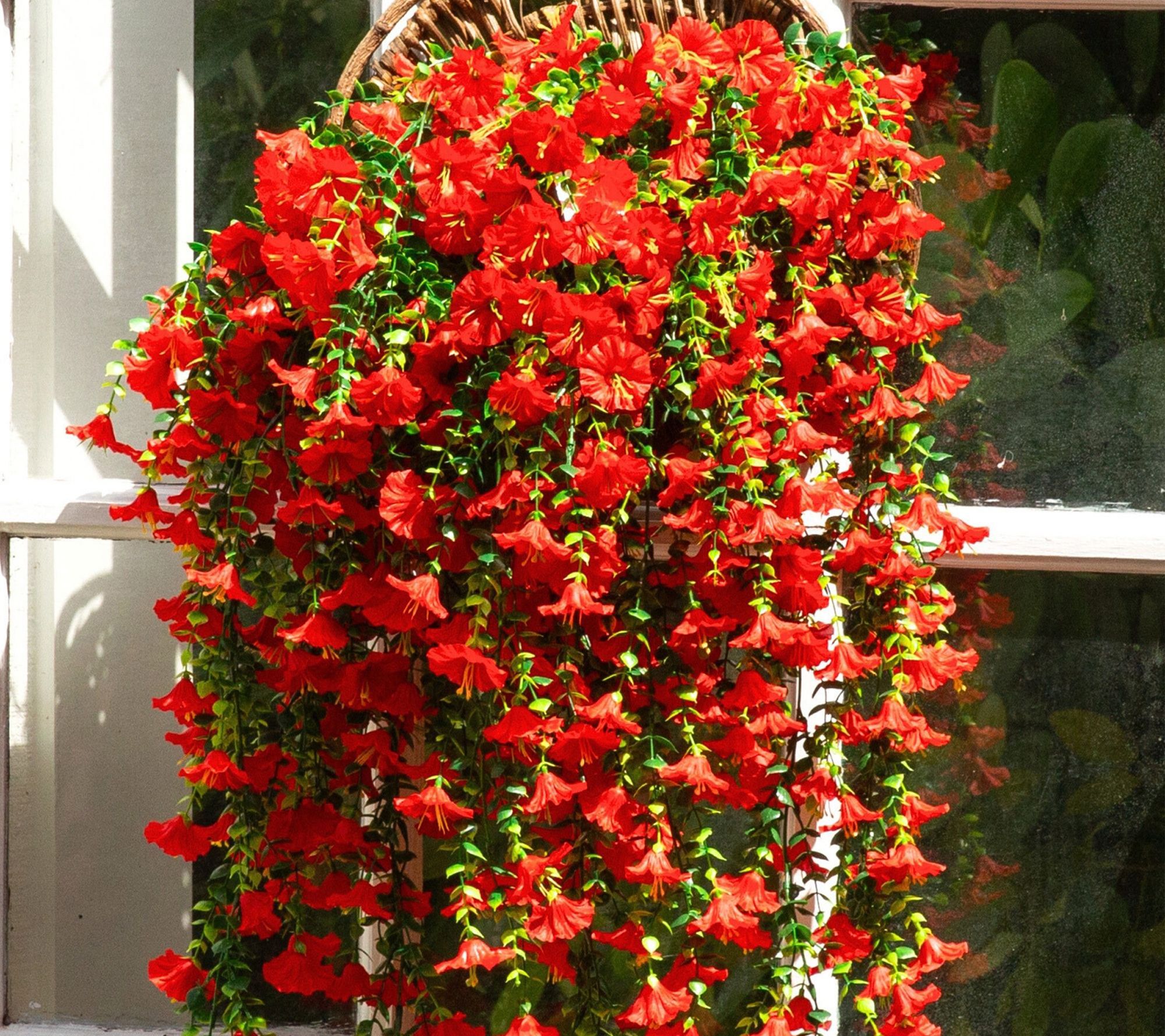 Nearly Natural 30-in UV Resistant Morning Glory- Set of 6