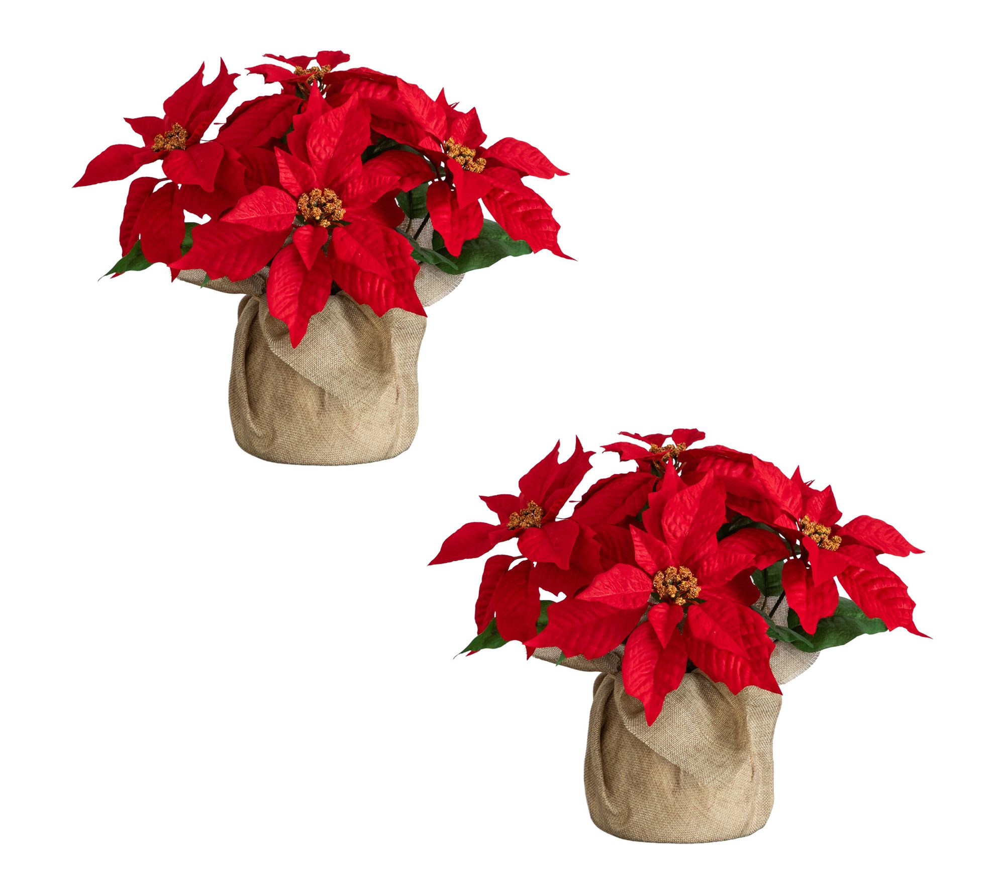 13-in Poinsettia in Burlap Planter - Set of 2 by Nearly Natural