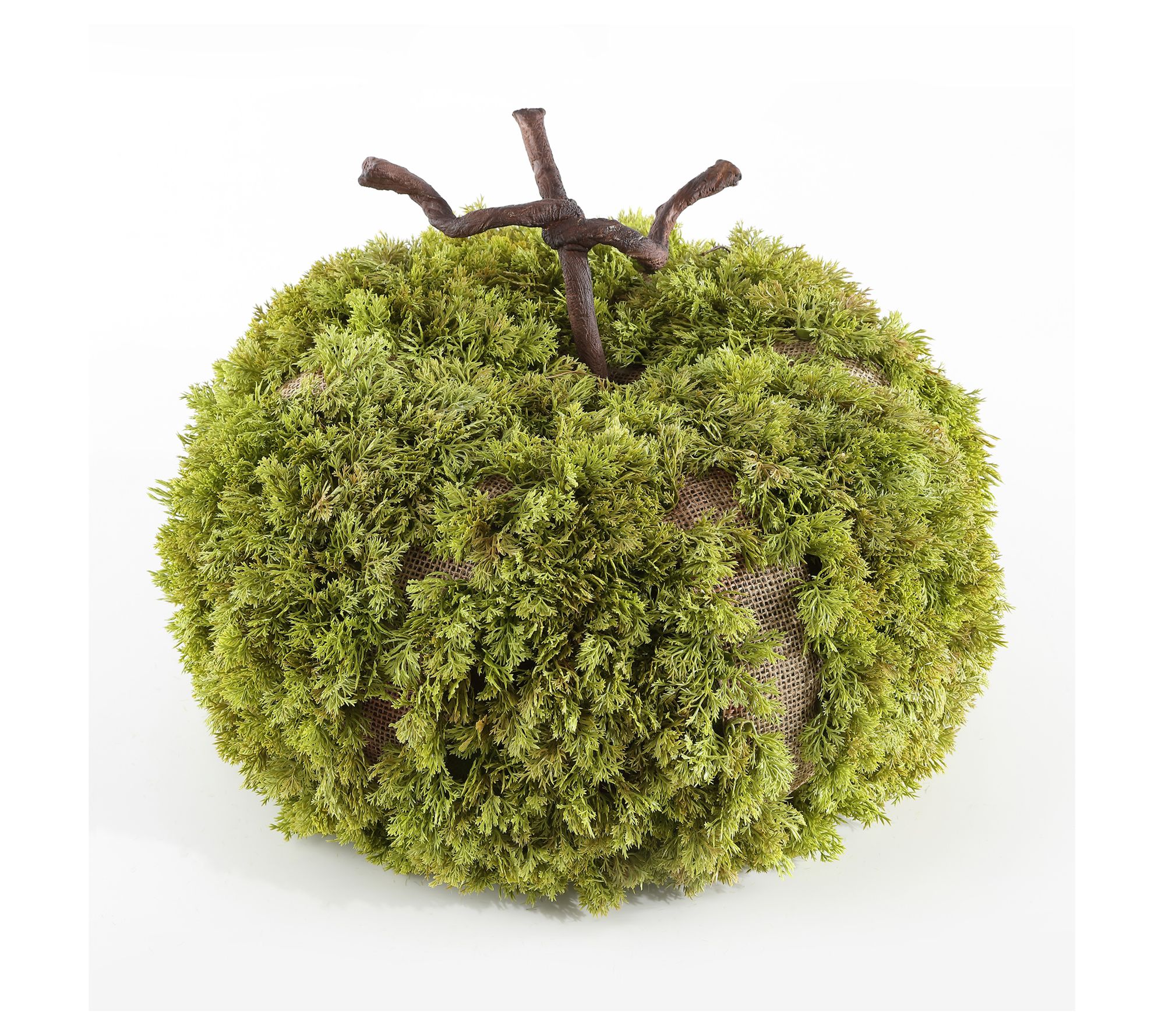 Safavieh Faux 15" Moss Pumpkin