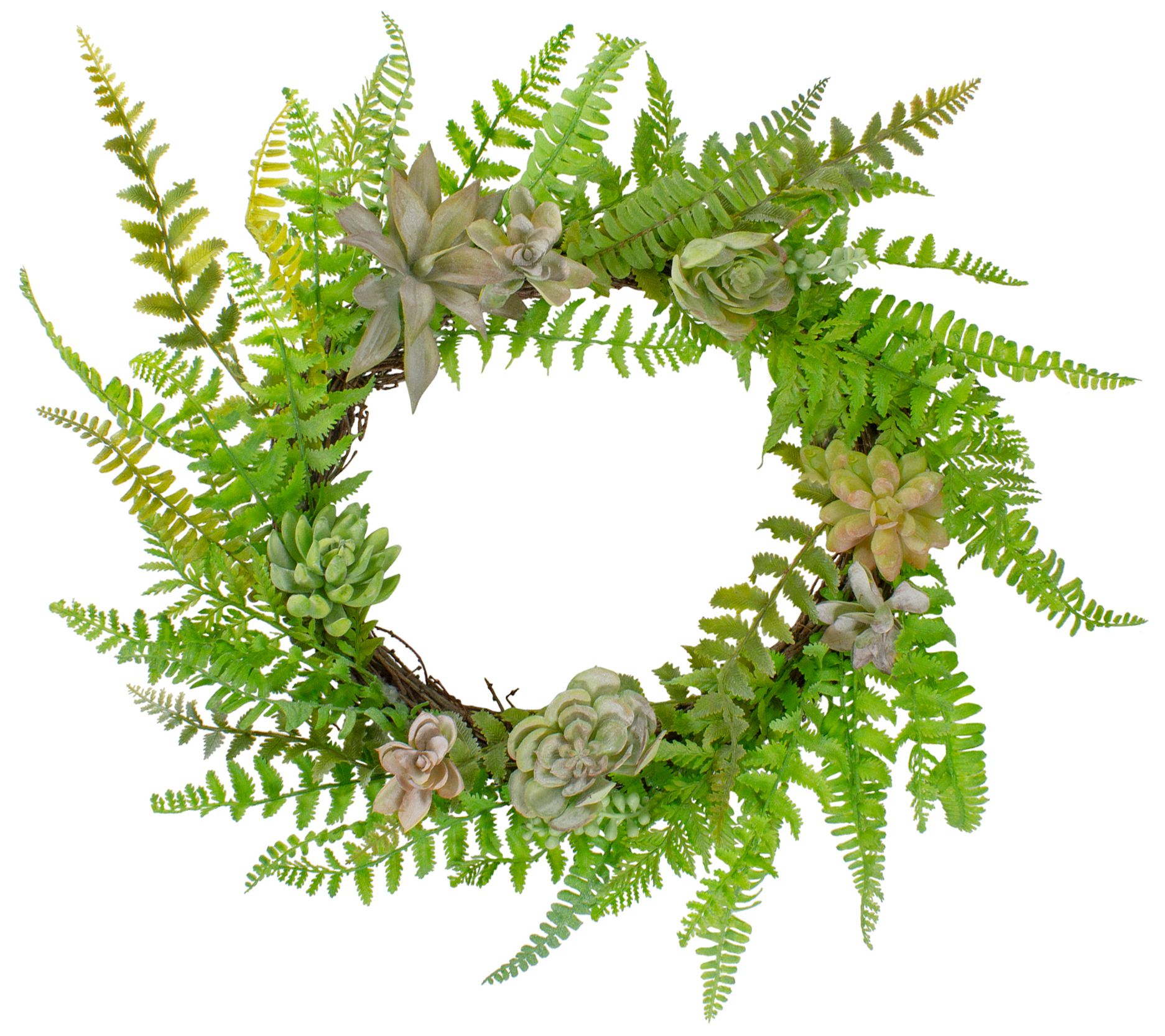 Northlight Succulents and Foliage Artificial Twig Wreath Green