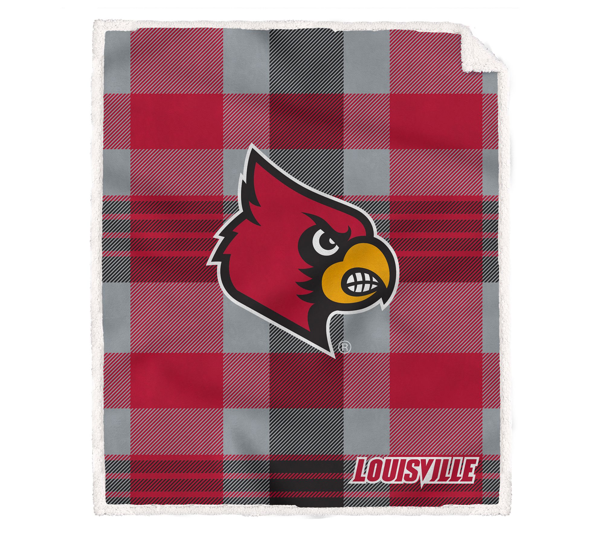 Pegasus Sports NCAA Plaid Steel Royal Plush Shepa Blanket