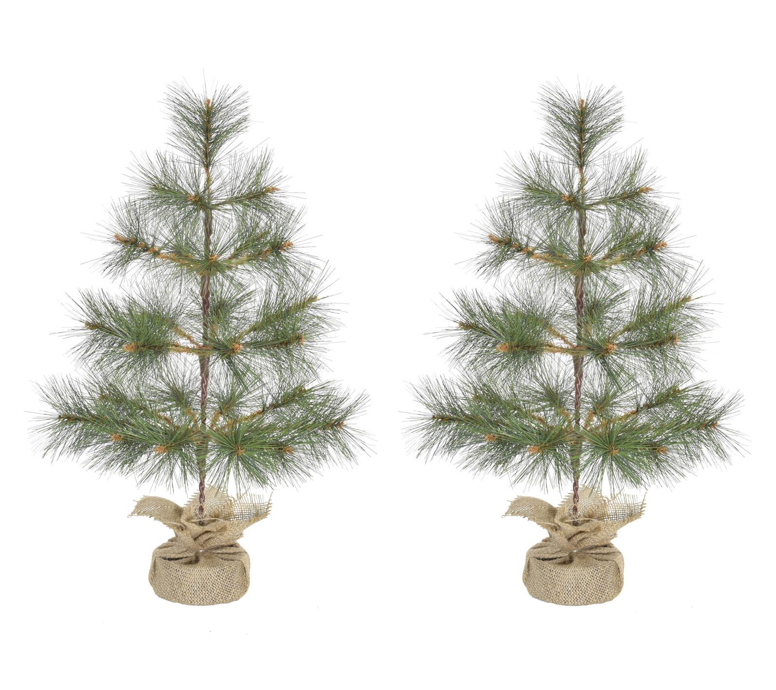 Fraser Hill Farm 3-ft. Farmhouse Fir Christmas Tree Set of 2