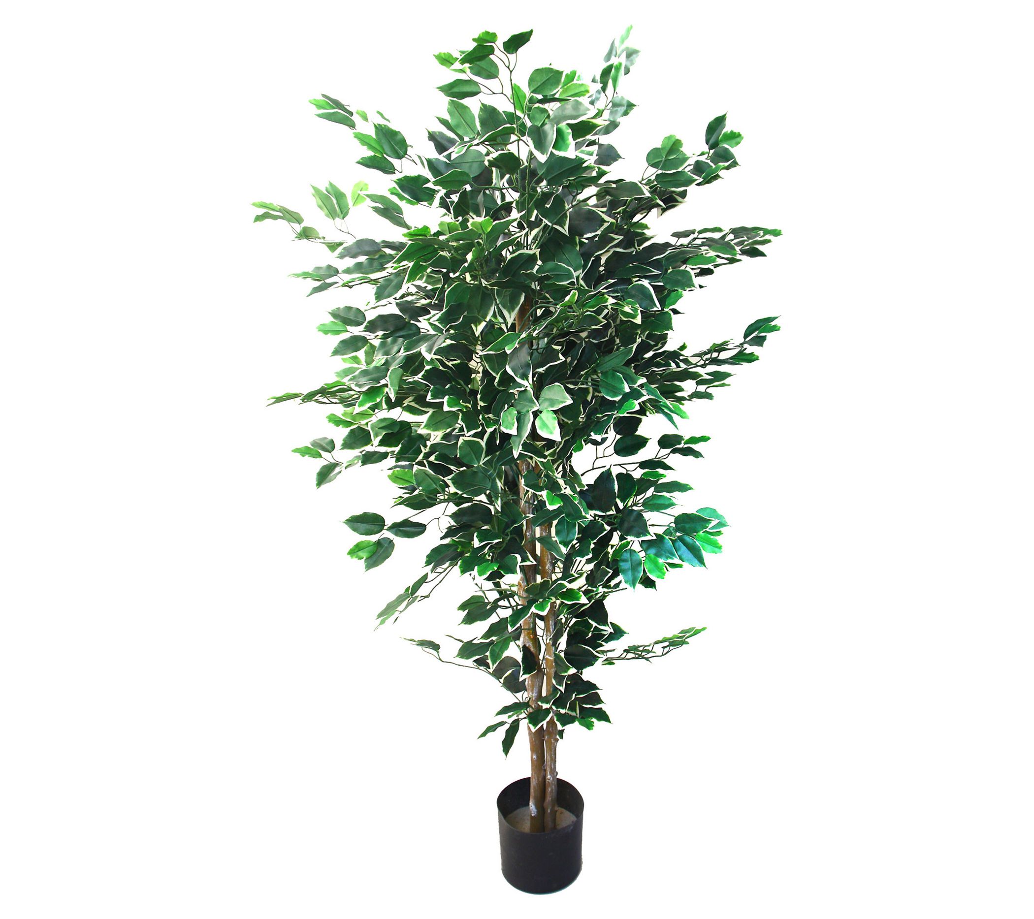 Nature Spring Ficus Artificial Tree - QVC.com