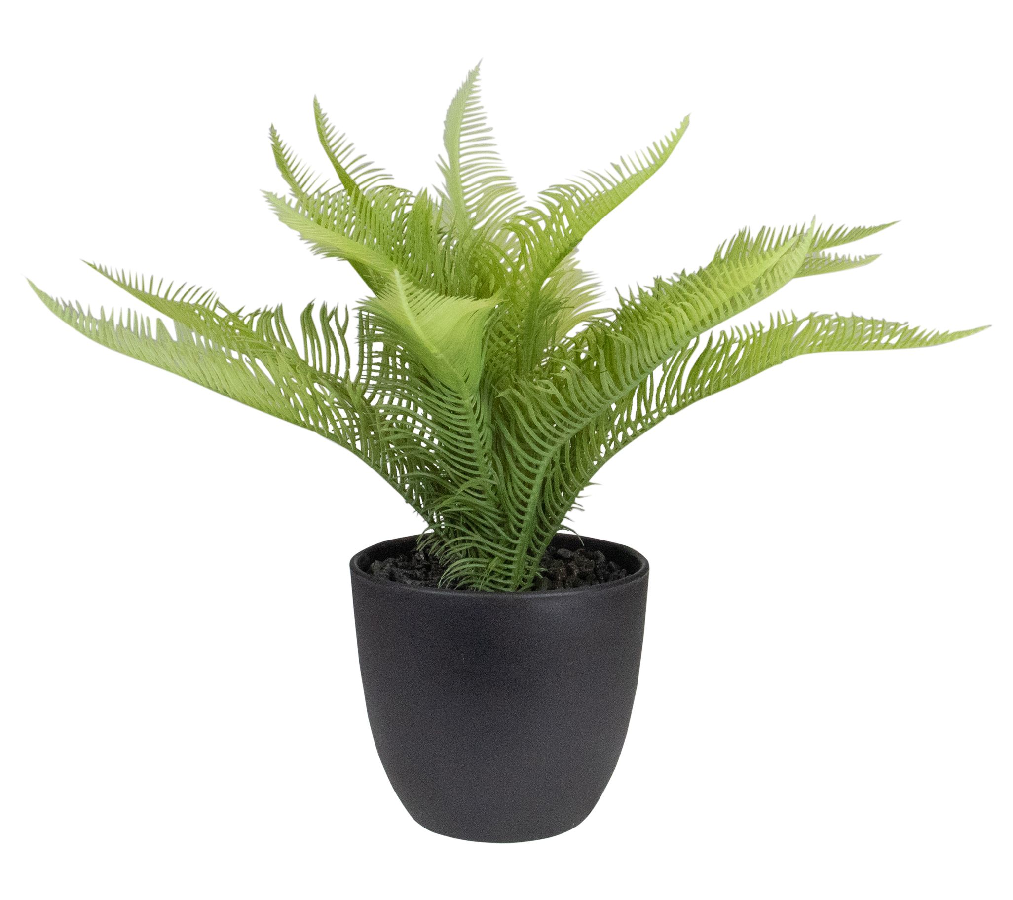Northlight 12" Potted Green Artificial Pinus Plant