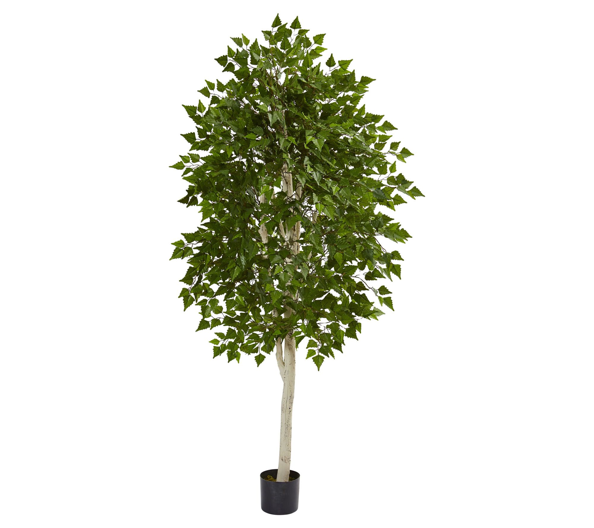 6' Birch Artificial Tree by Nearly Natural