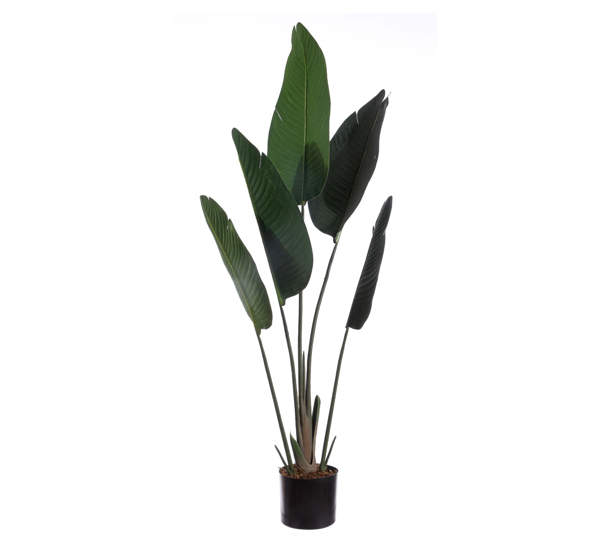 Safavieh Faux-Gladiolus Potted Plant