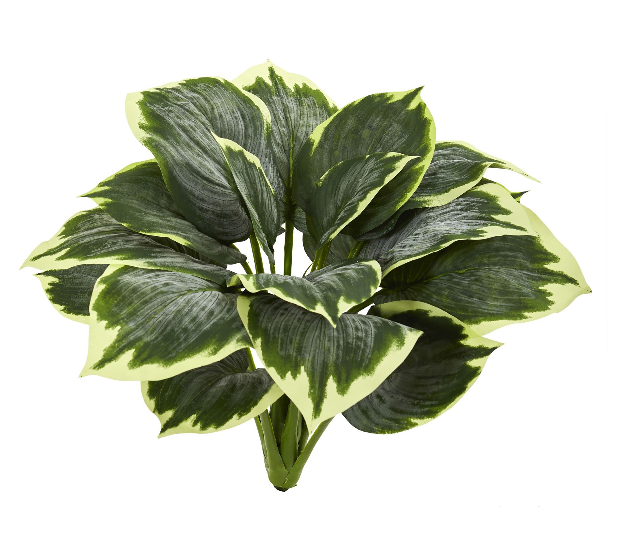Nearly Natural Variegated Hosta Artificial Plant (Set of 6)