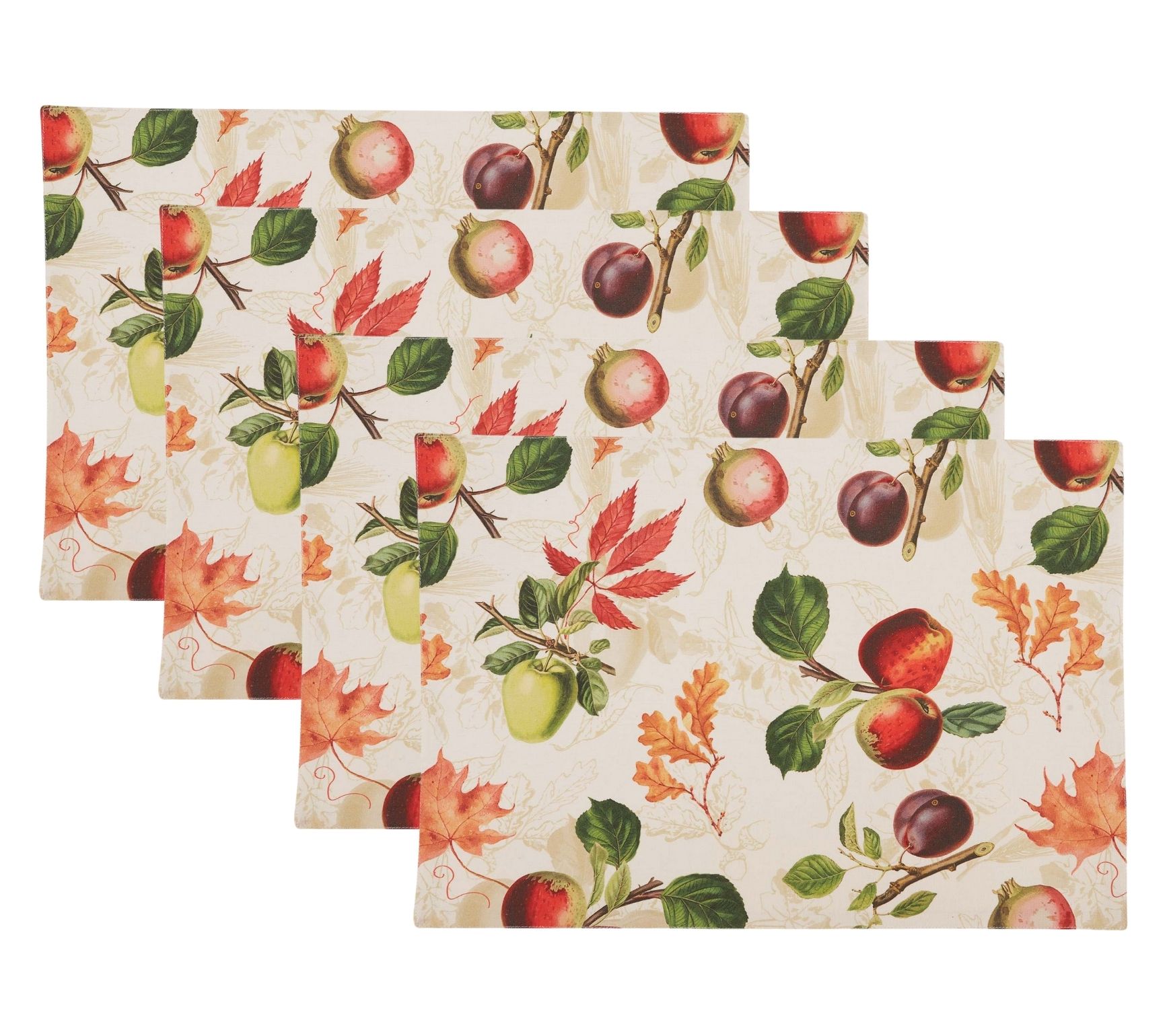 Design Imports Set/4 Orchard Botanical PrintedPlacemats