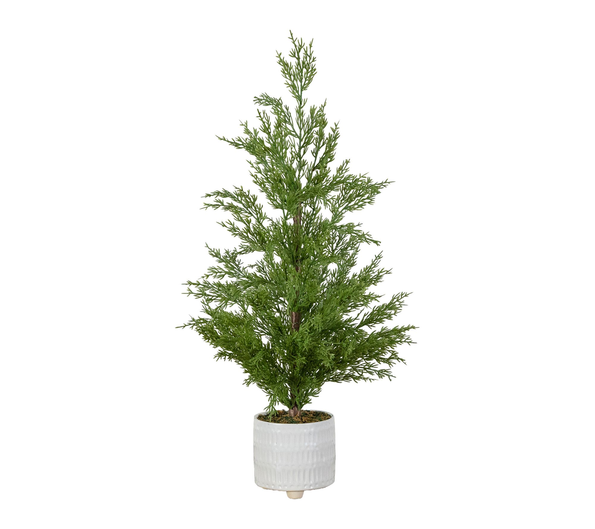 2-ft Norfolk Pine Tree in Ceramic Planter by Nearly Natural