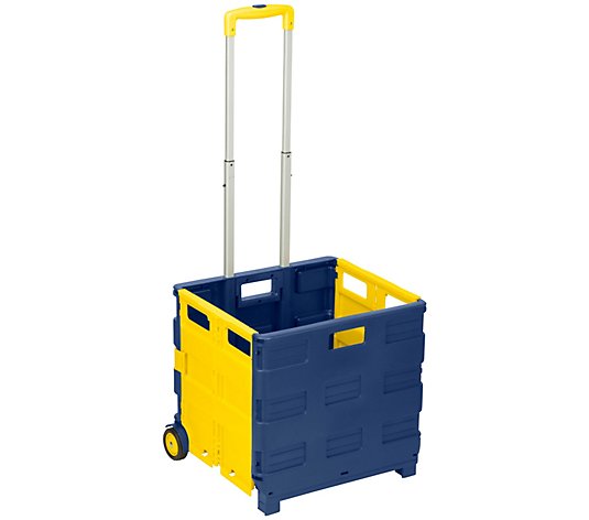 Honey-Can-Do Fold-Up Plastic Rolling Storage Cart