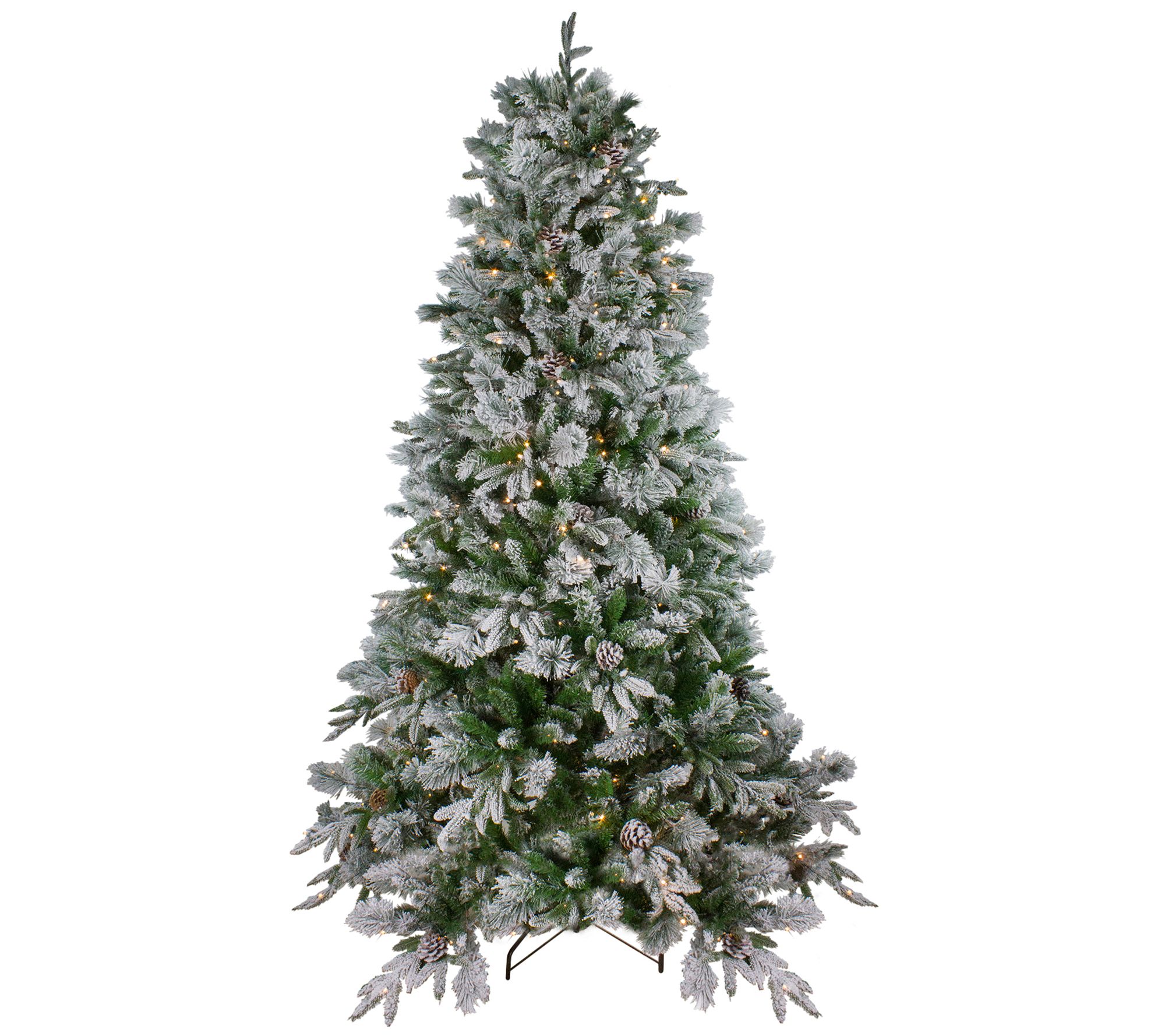Northlight 7.5' Mixed Colorado Pine Tree Warm Clear Lights