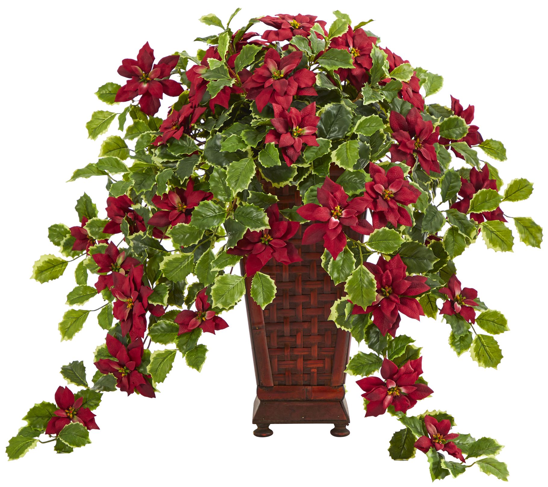 25" Poinsettia and Variegated Holly Plant in Planter