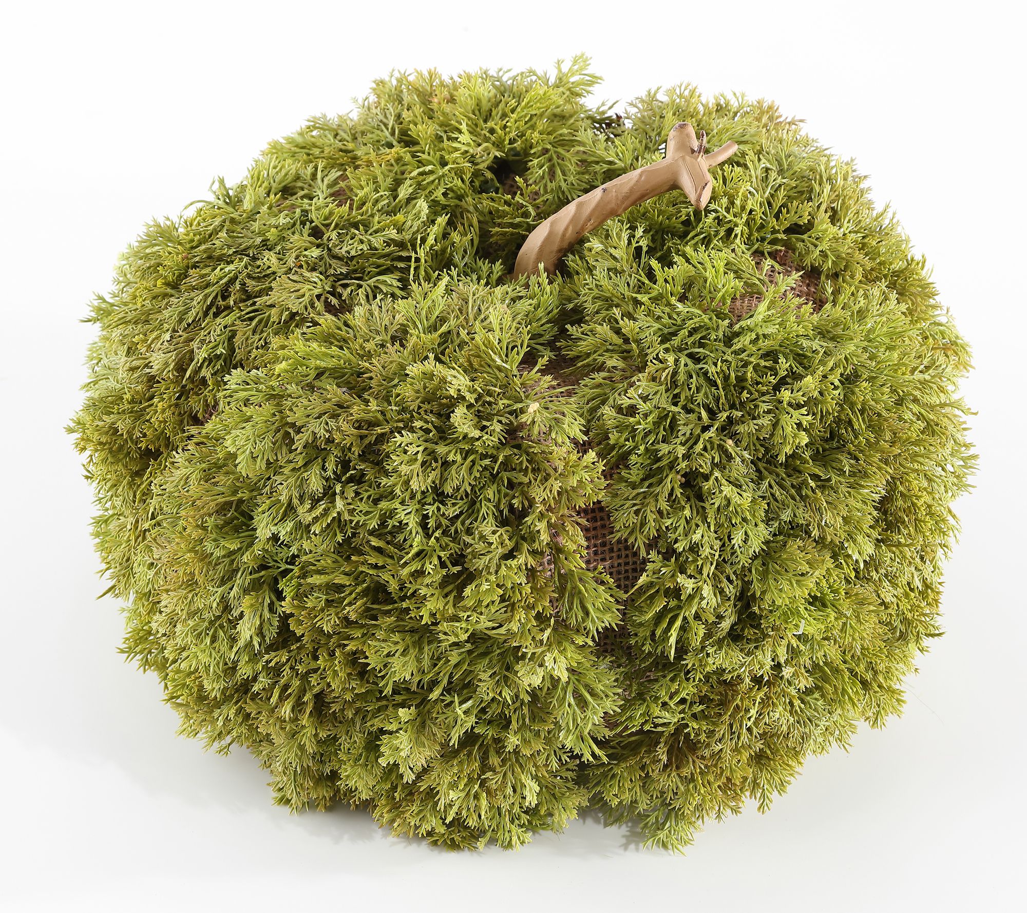 Safavieh Faux 10" Moss Pumpkin