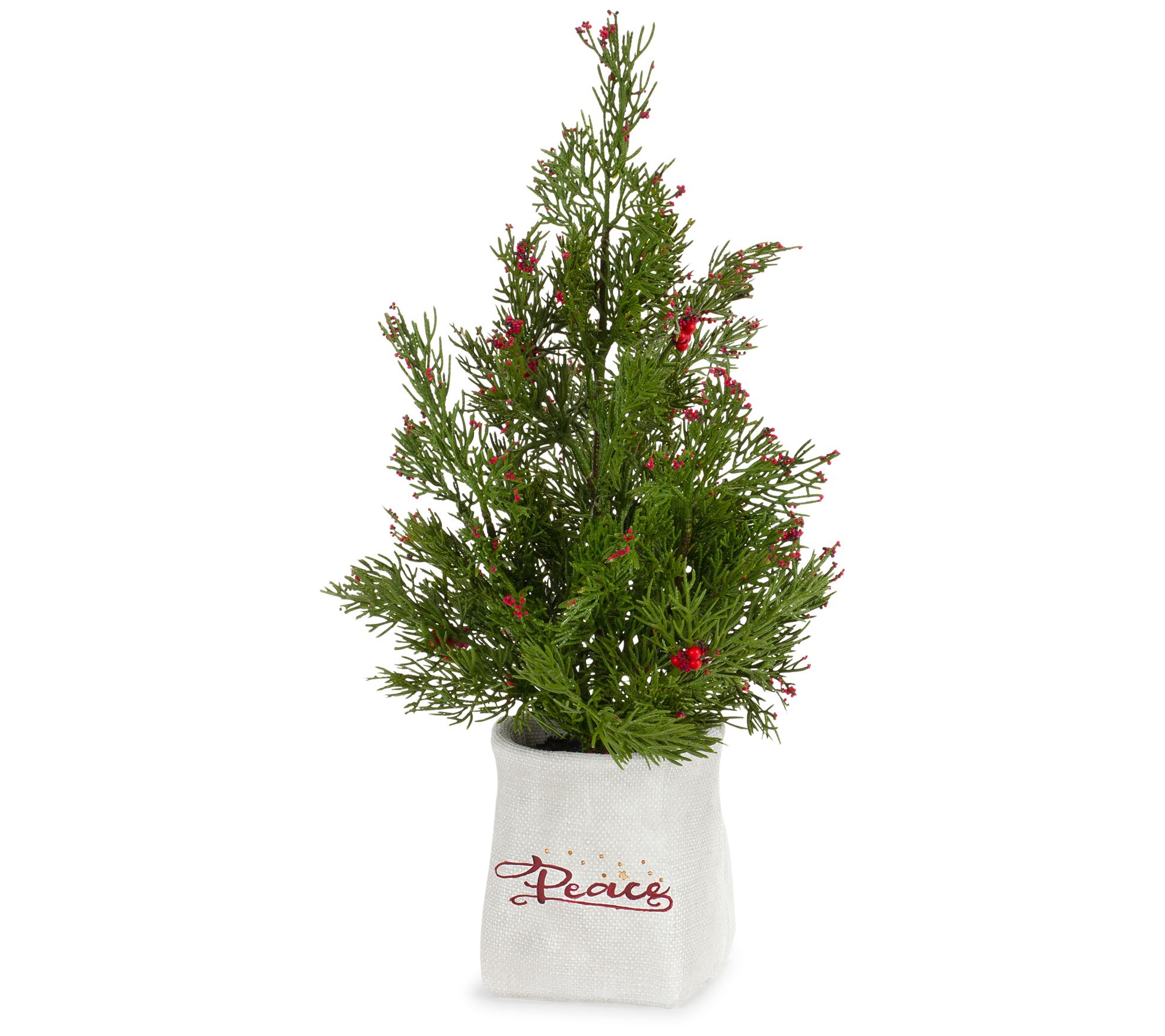 Melrose Mini Pine Tree with Berries in Ceramicot (Set of 2) - QVC.com