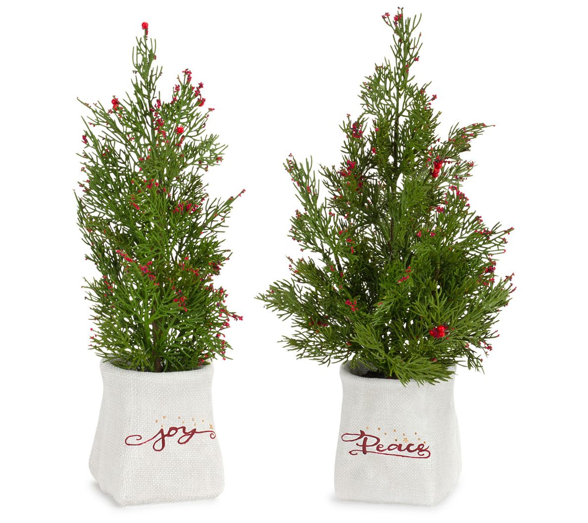 Melrose Mini Pine Tree with Berries in Ceramicot (Set of 2)
