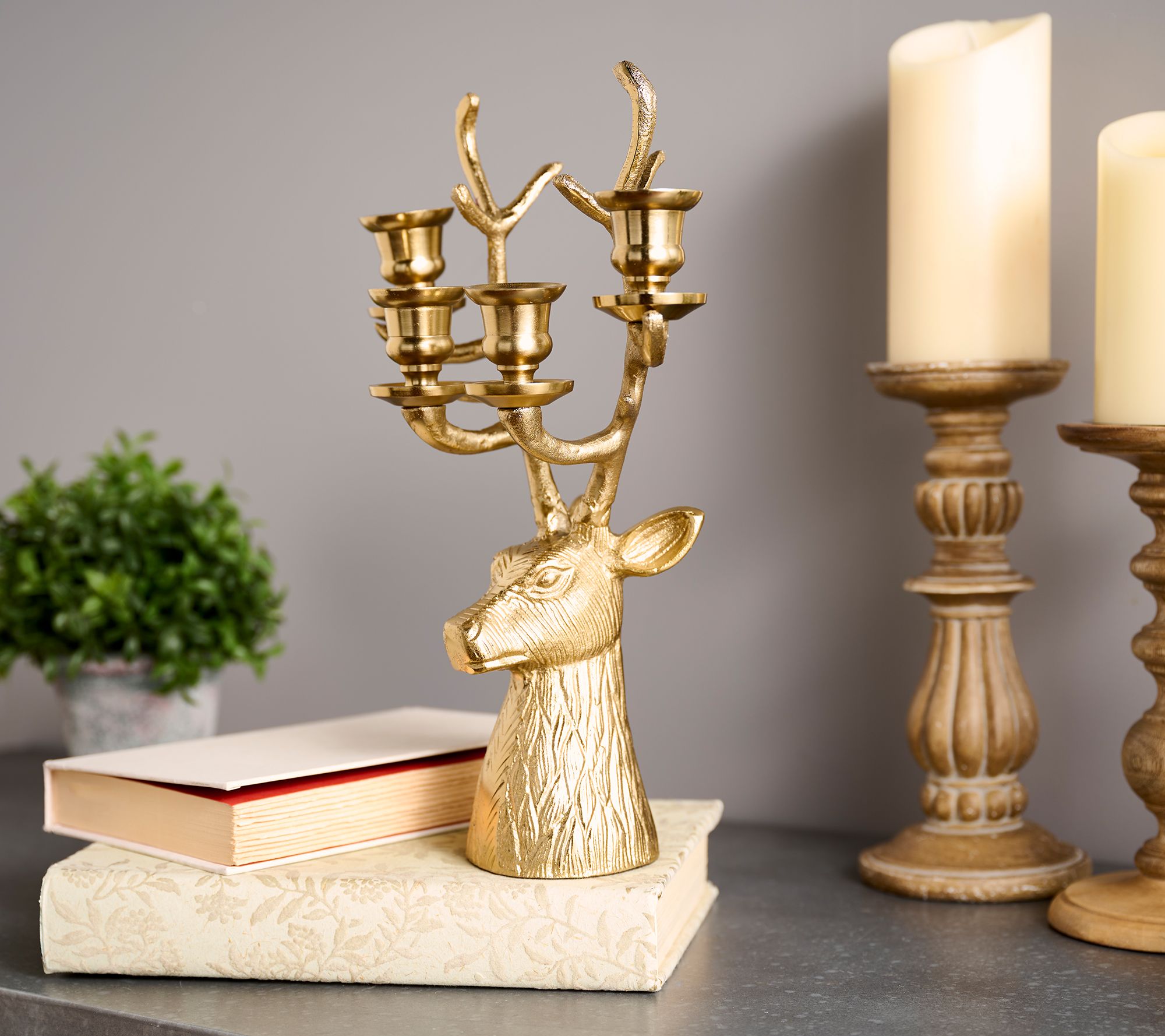Mrs. H by Dee Hilfiger Staghead Candelabra - QVC.com
