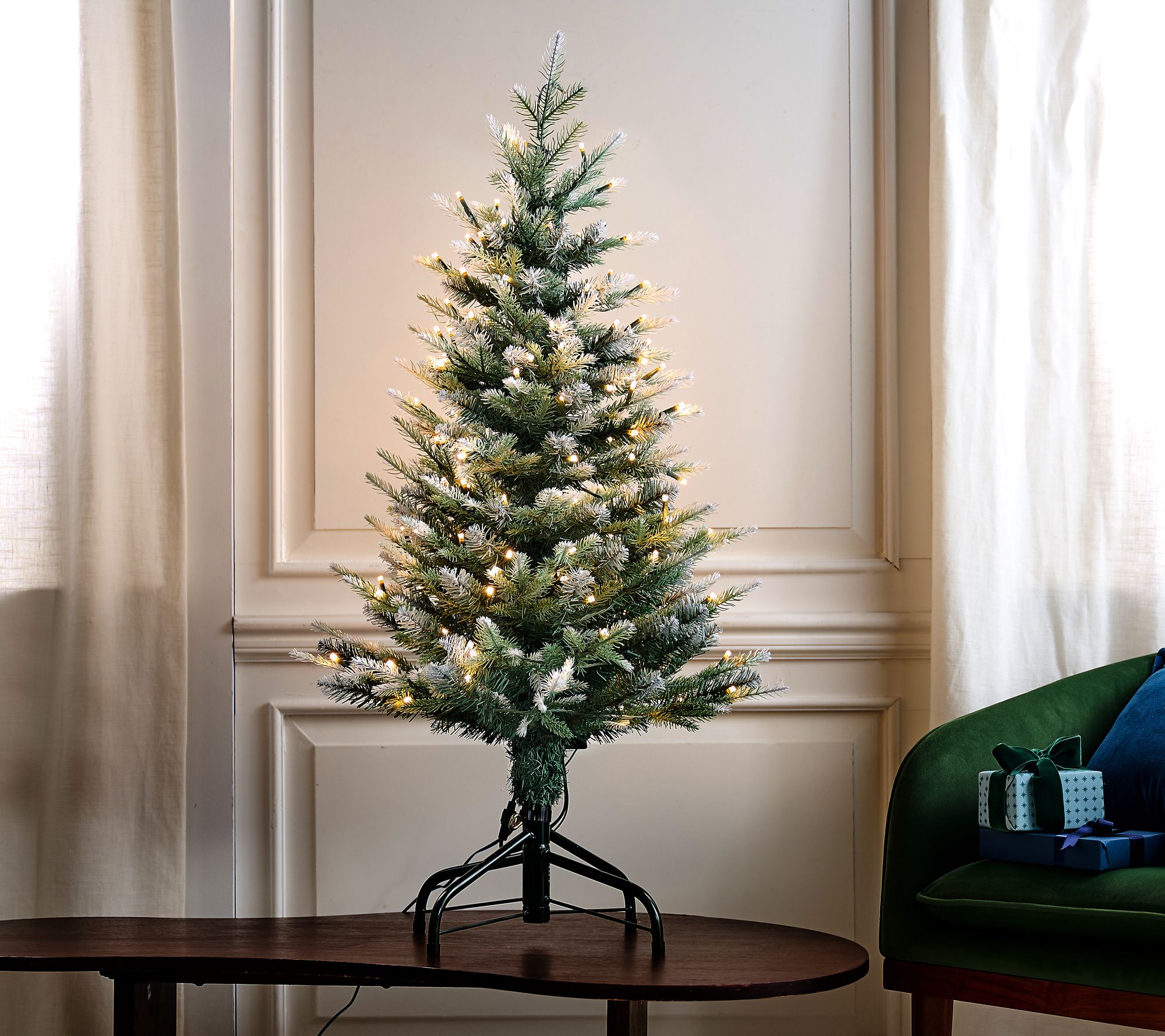 Snow Spruce