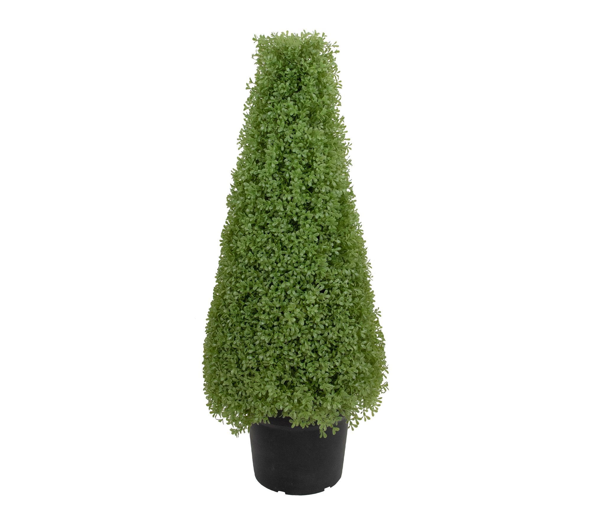 Northlight 3' Boxwood Cone Topiary Tree in Round Pot