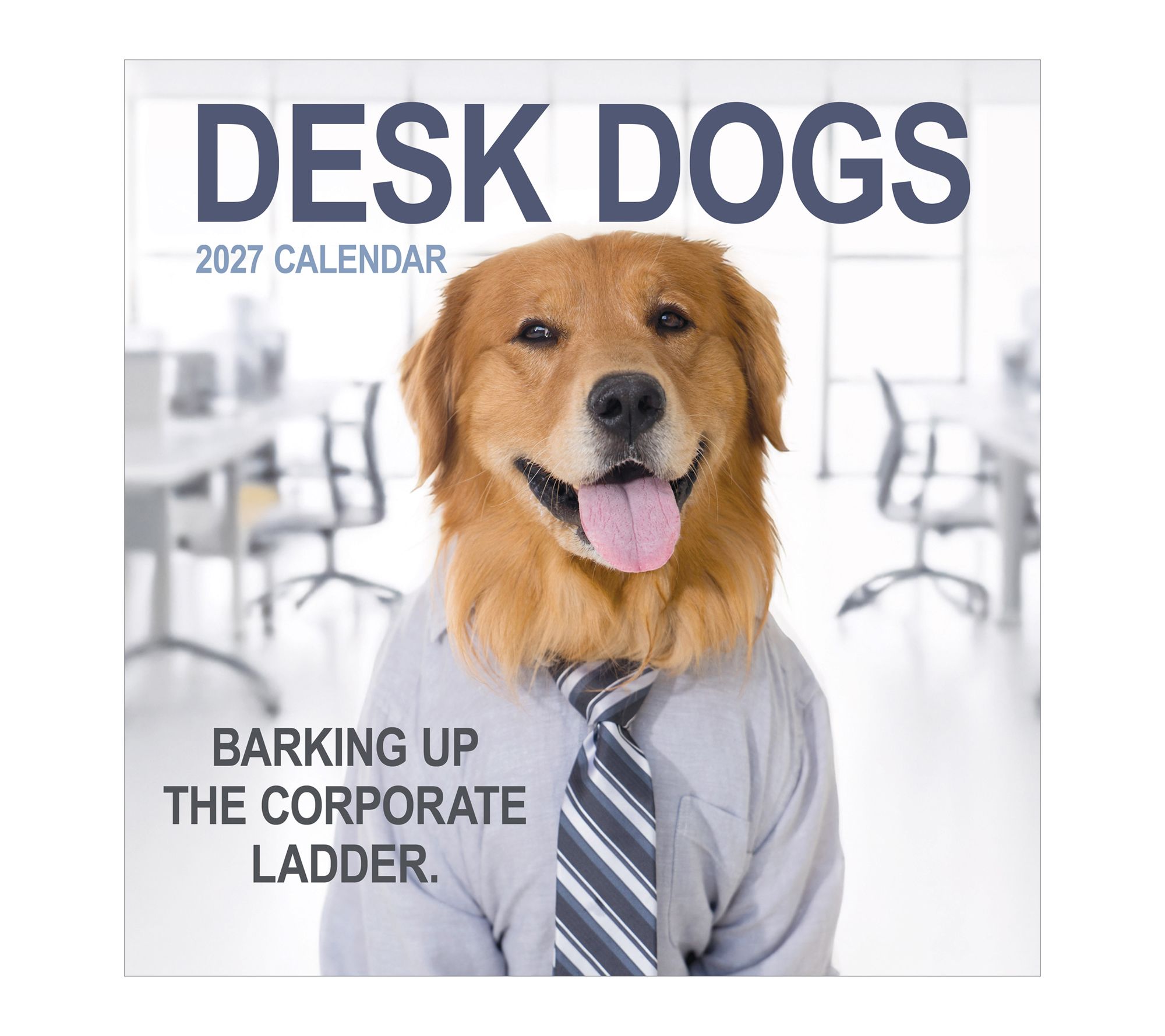 TF Publishing 2027 Desk Dogs Wall Calendar