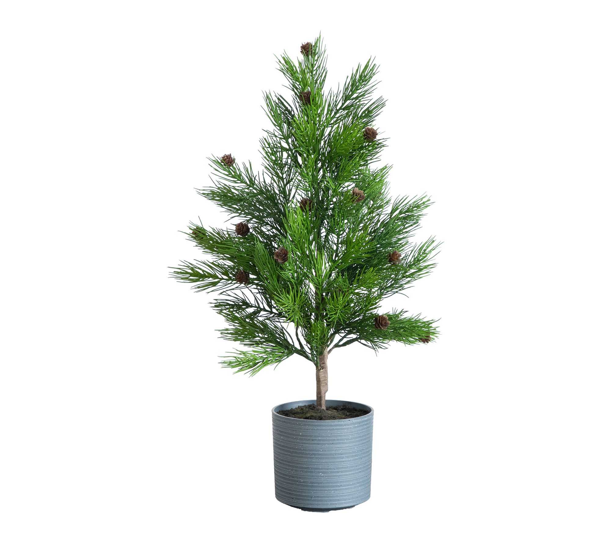 2-ft Real Touch Cedar  Tree with Pinecones by Nearly Natural