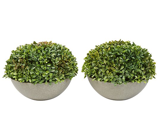 Pure Garden 2-Piece Realistic Boxwood Topiary in Stone Bowls