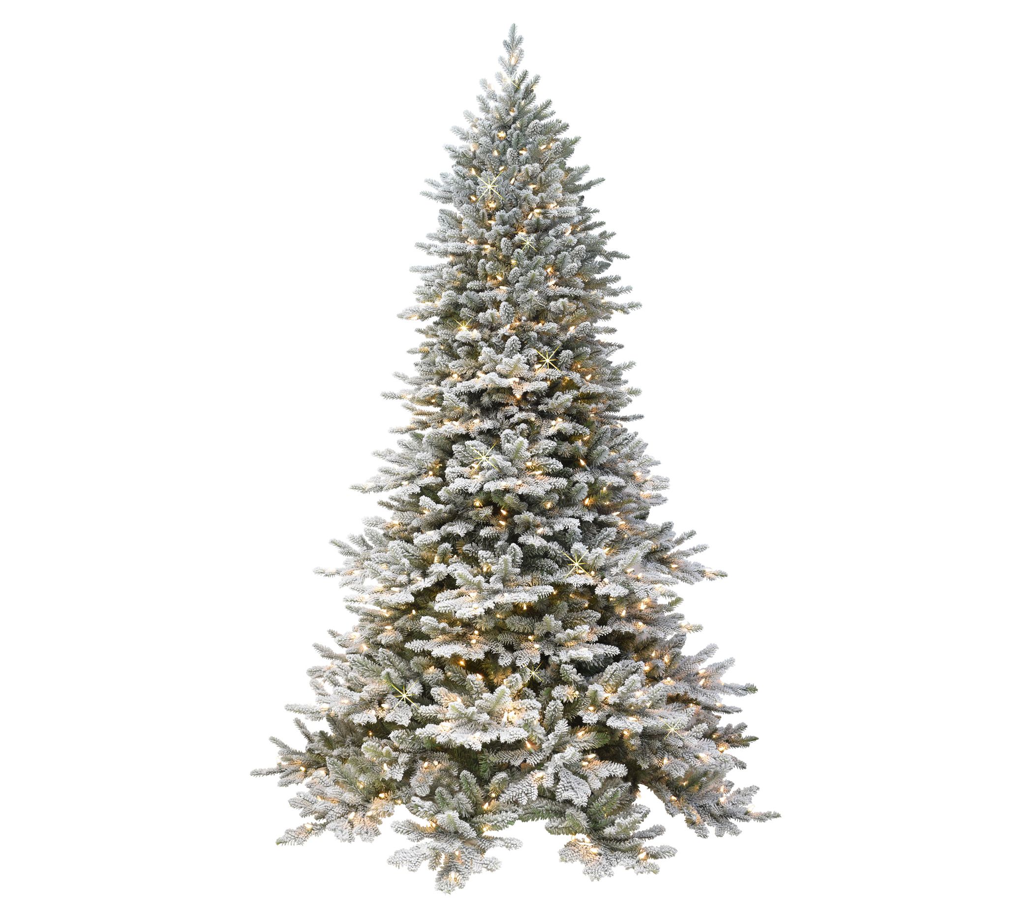 Puleo 6.5' Prelit Flocked Royal Majestic Douglas Fir