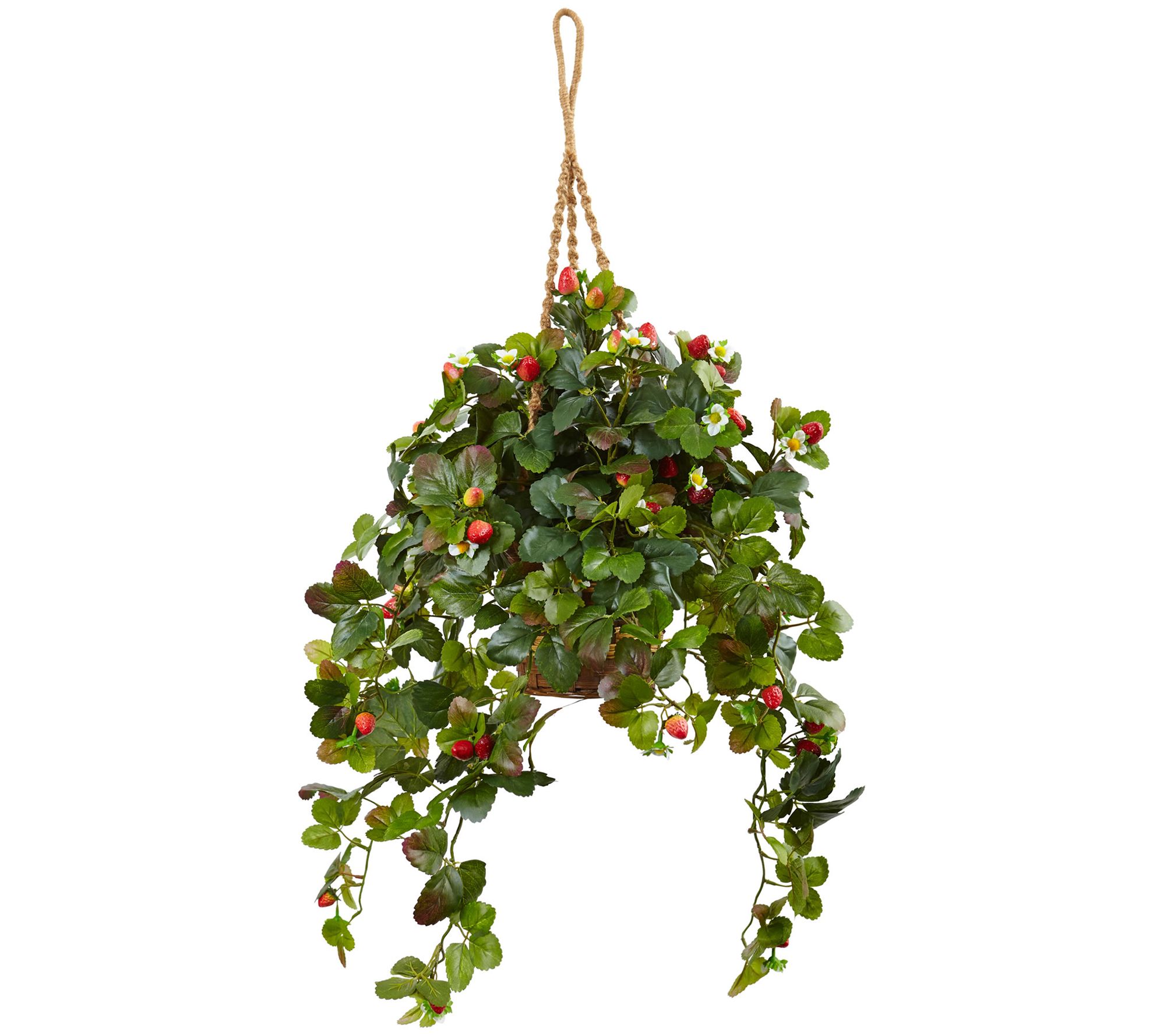 41" Strawberry Bush in Hanging Basket by NearlyNatural