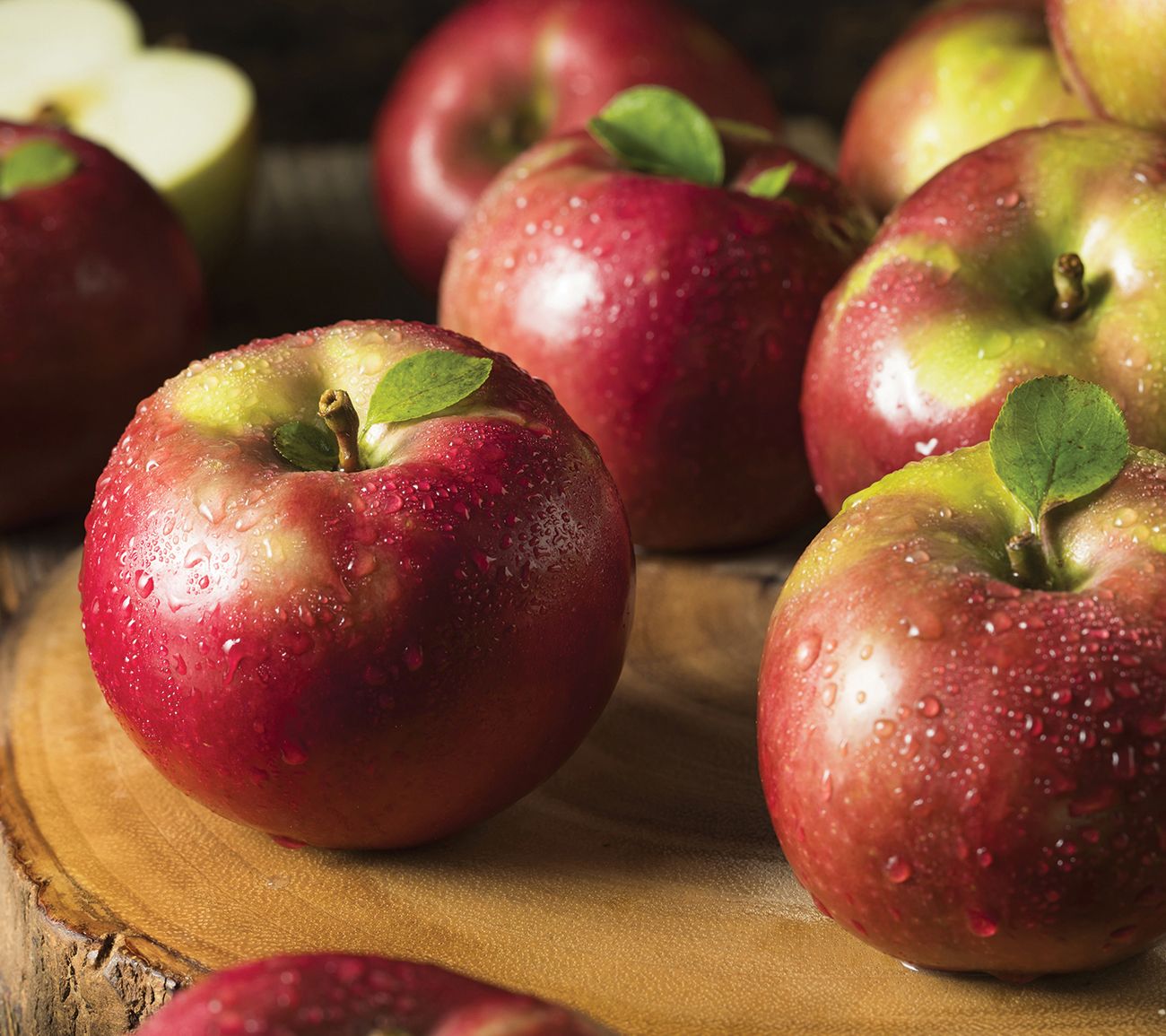 Van Zyverden Apple Tree McIntosh 1 Root Stock