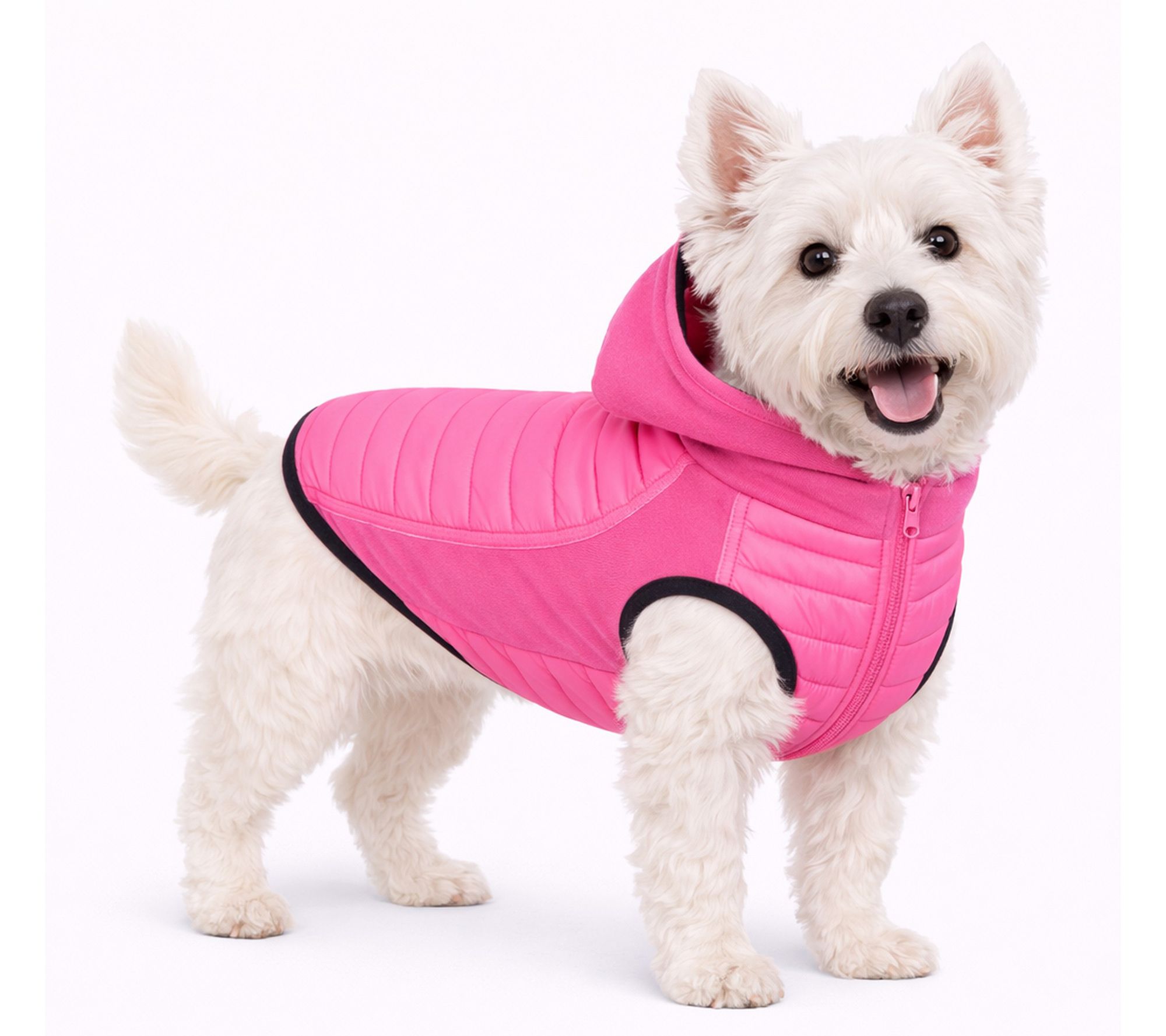 Pet Life 'Apex' Hooded Lightweight 4-Season Stretch Dog Coat