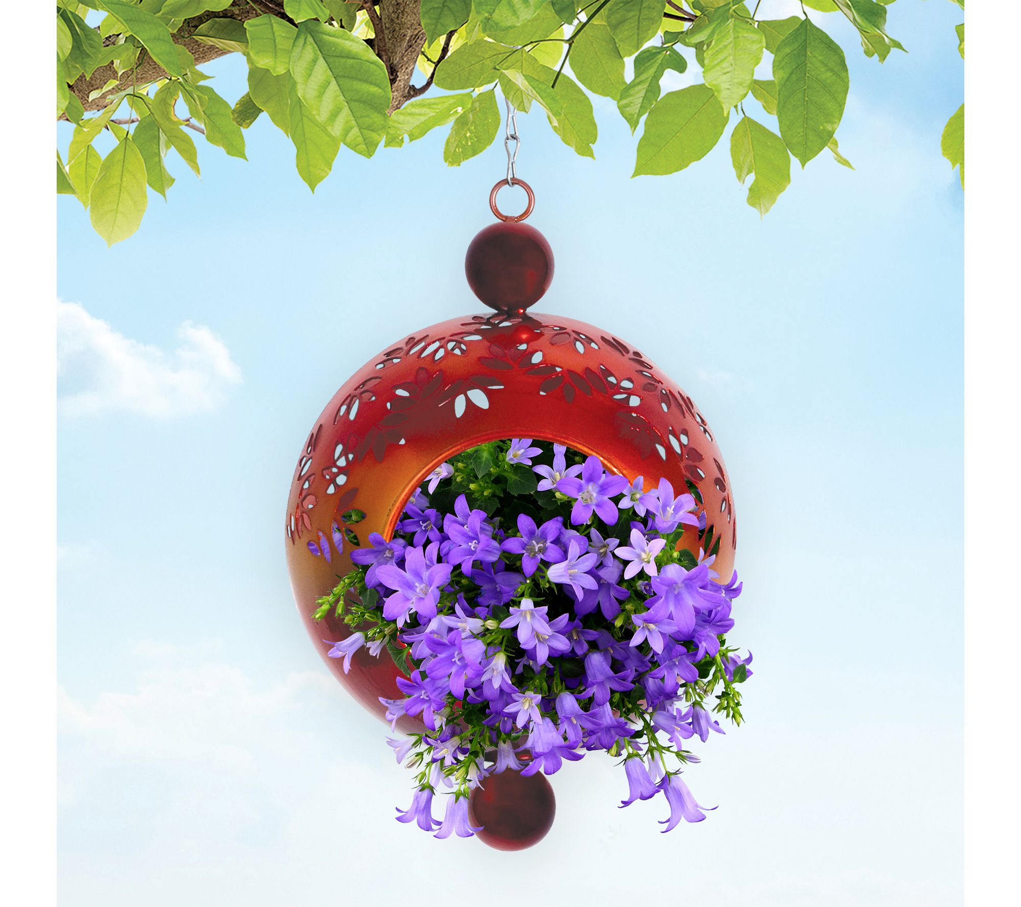 Sunset Vista Designs Fly Through Birdfeeder