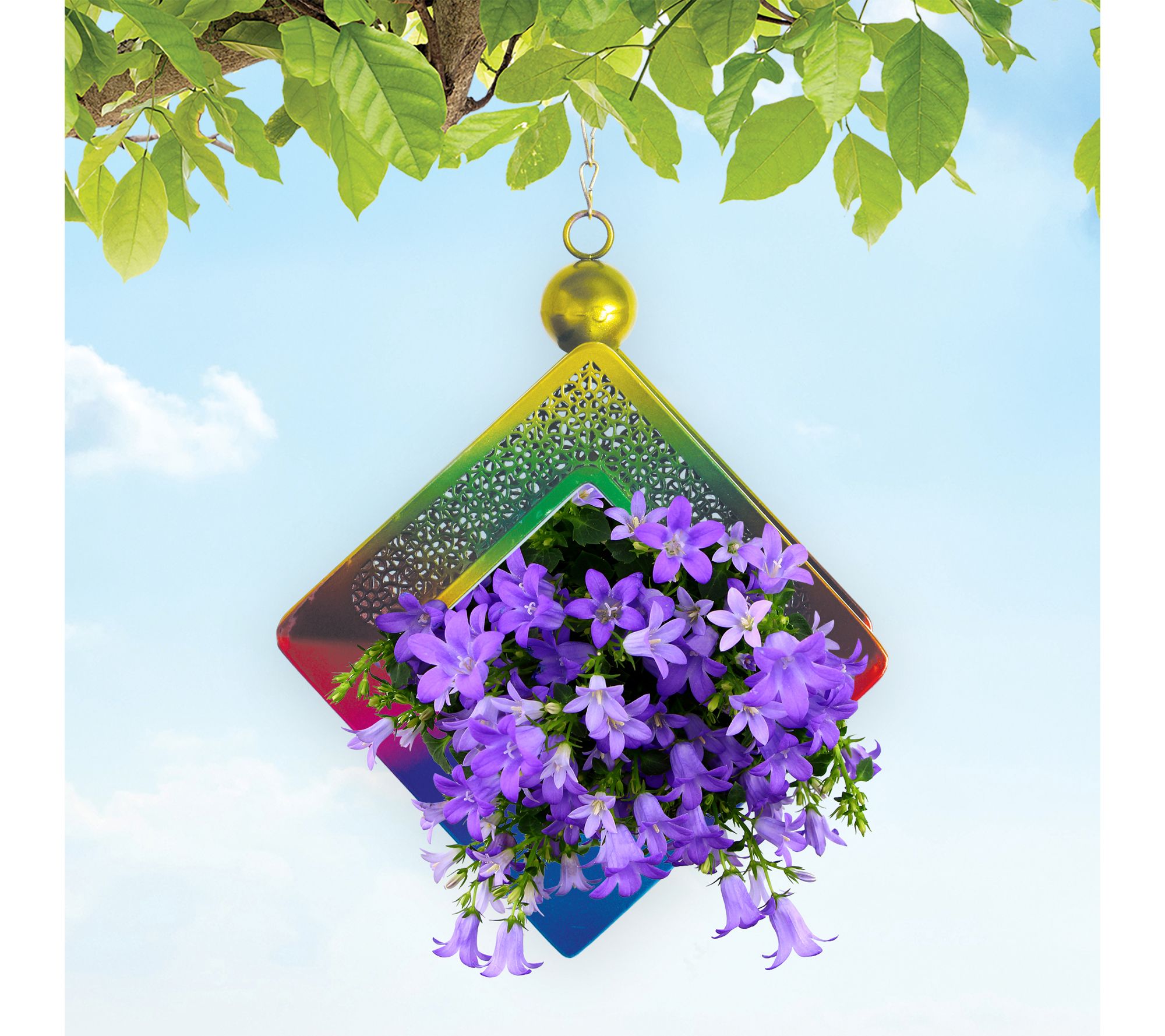 Sunset Vista Designs Fly Through Birdfeeder